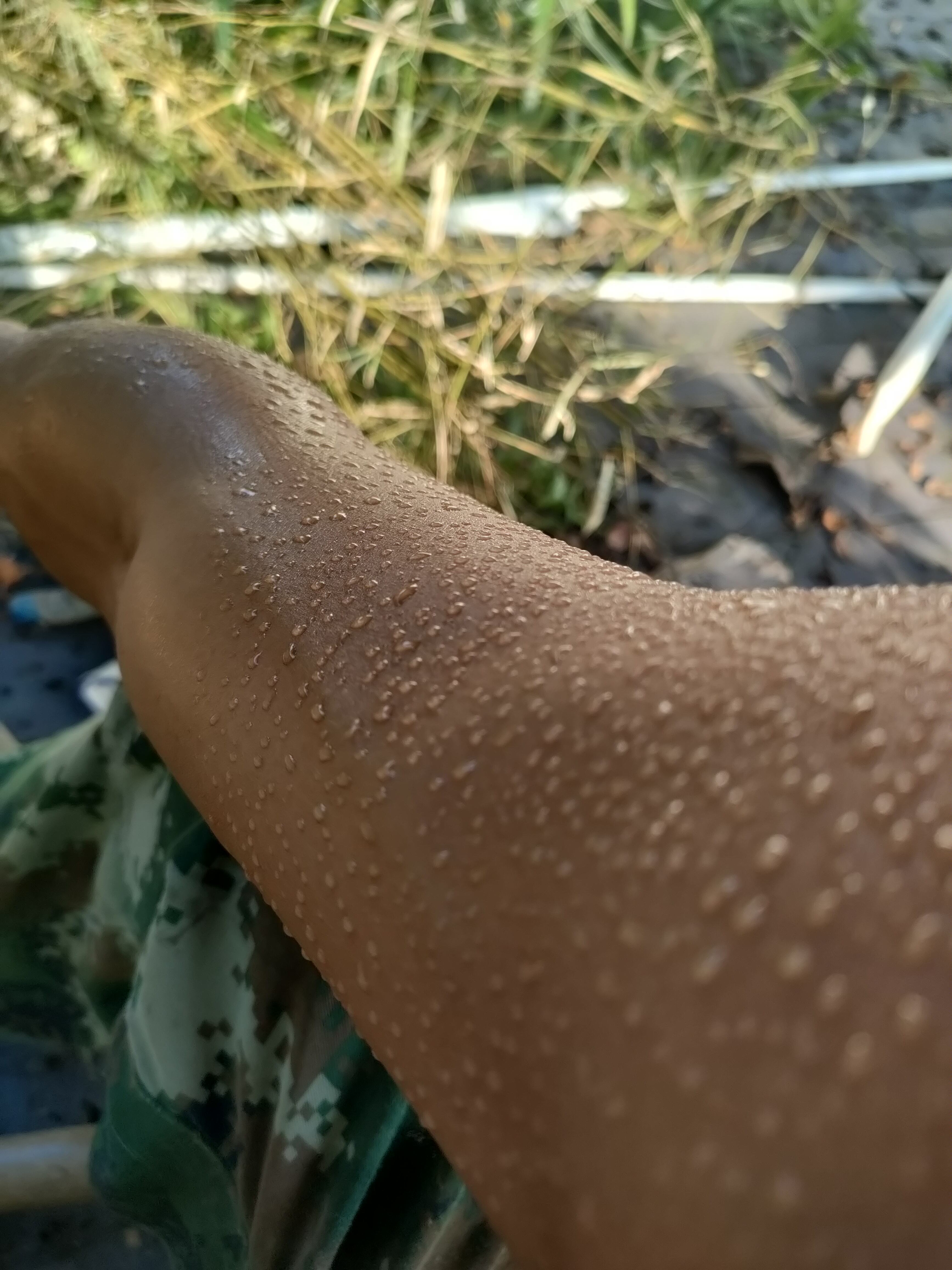 这天气热的 汗都变成水珠了