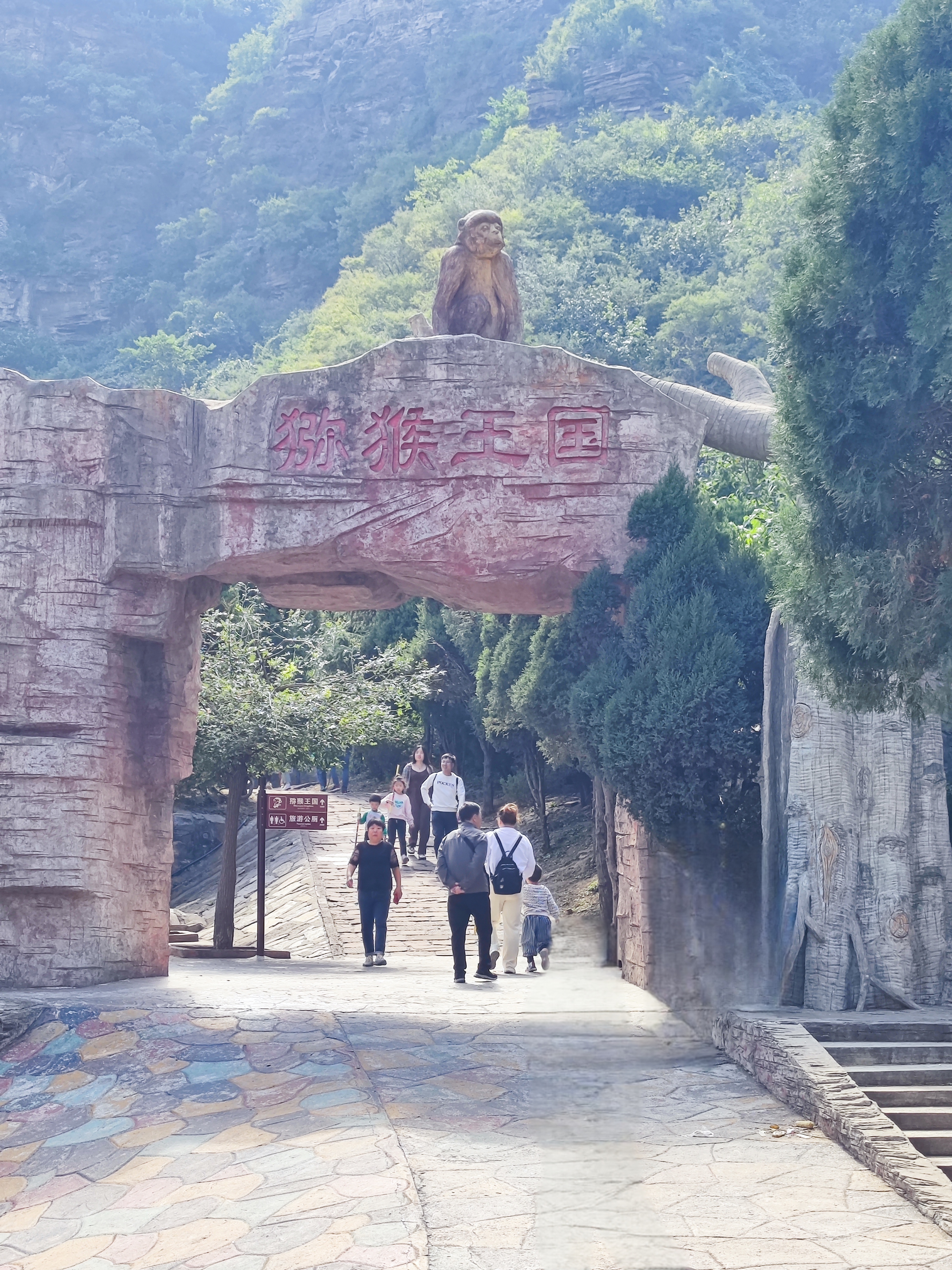 中国猴山——济源五龙口景区以其独特的自然景观,丰富的猕猴资源以及
