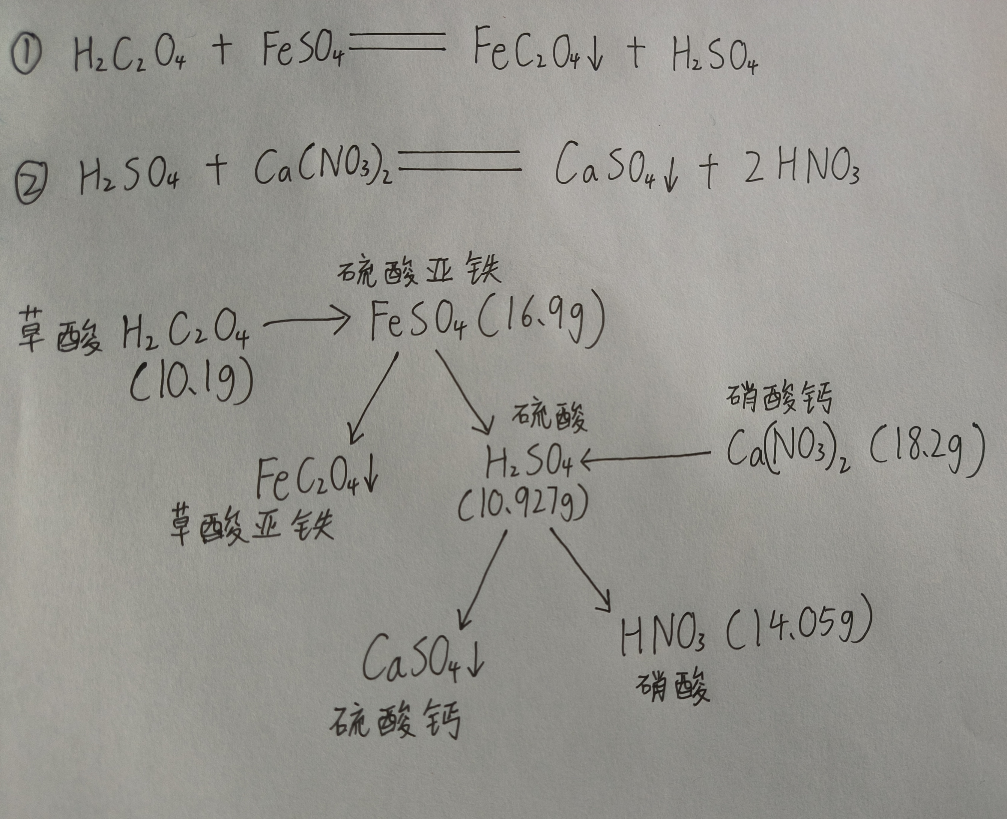 亚硝酸盐中毒机制图片