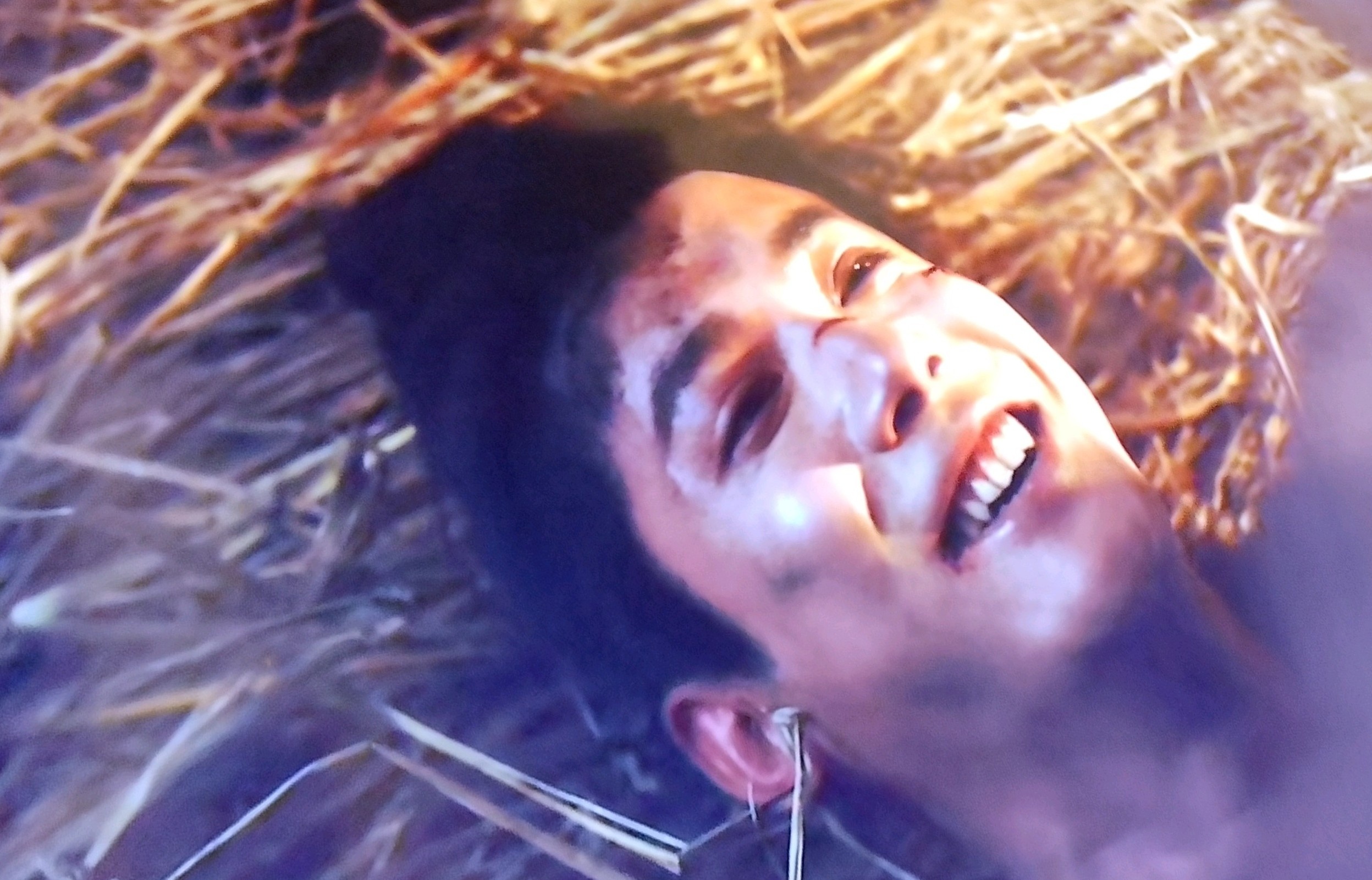 白王只给狱中的杨静澜喝毒水并从精神上肉体上羞辱他;于掌柜为民请愿