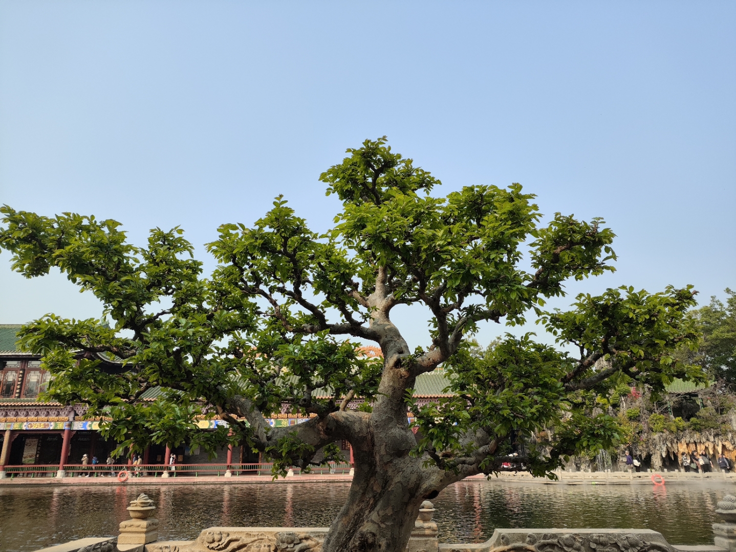 " 我说着:"是啊
