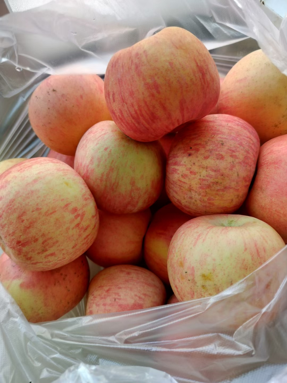 《苹果》67 刚买了兜沂源红富士,脆,水大,唐老鸭来不来的就水大,他