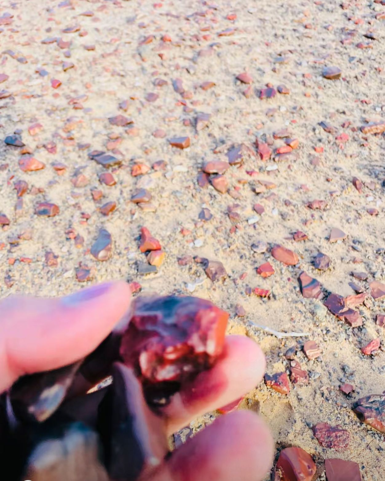 这就是地球表面,你从来没见过的宝石滩 这东西有人叫鸡血石,有人说叫