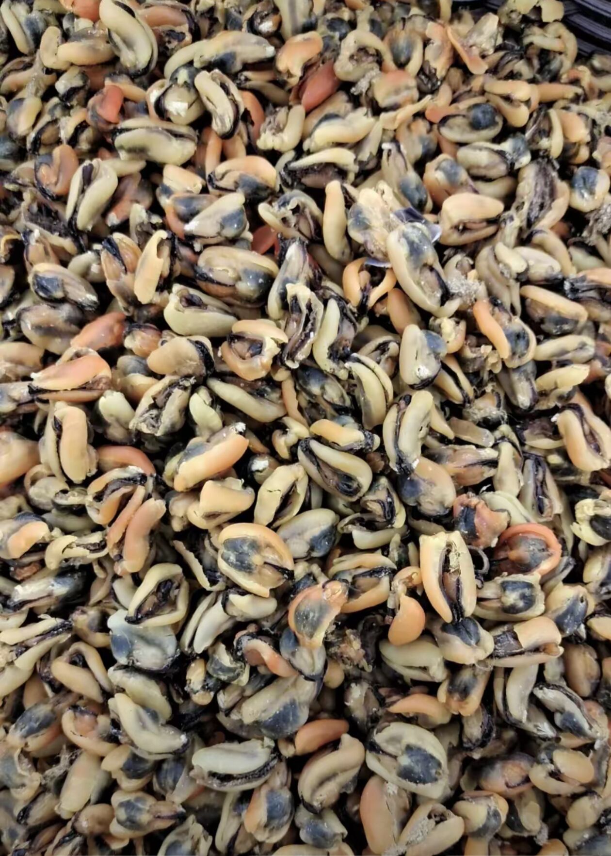 大姑姐回来了,提了一大袋这个.