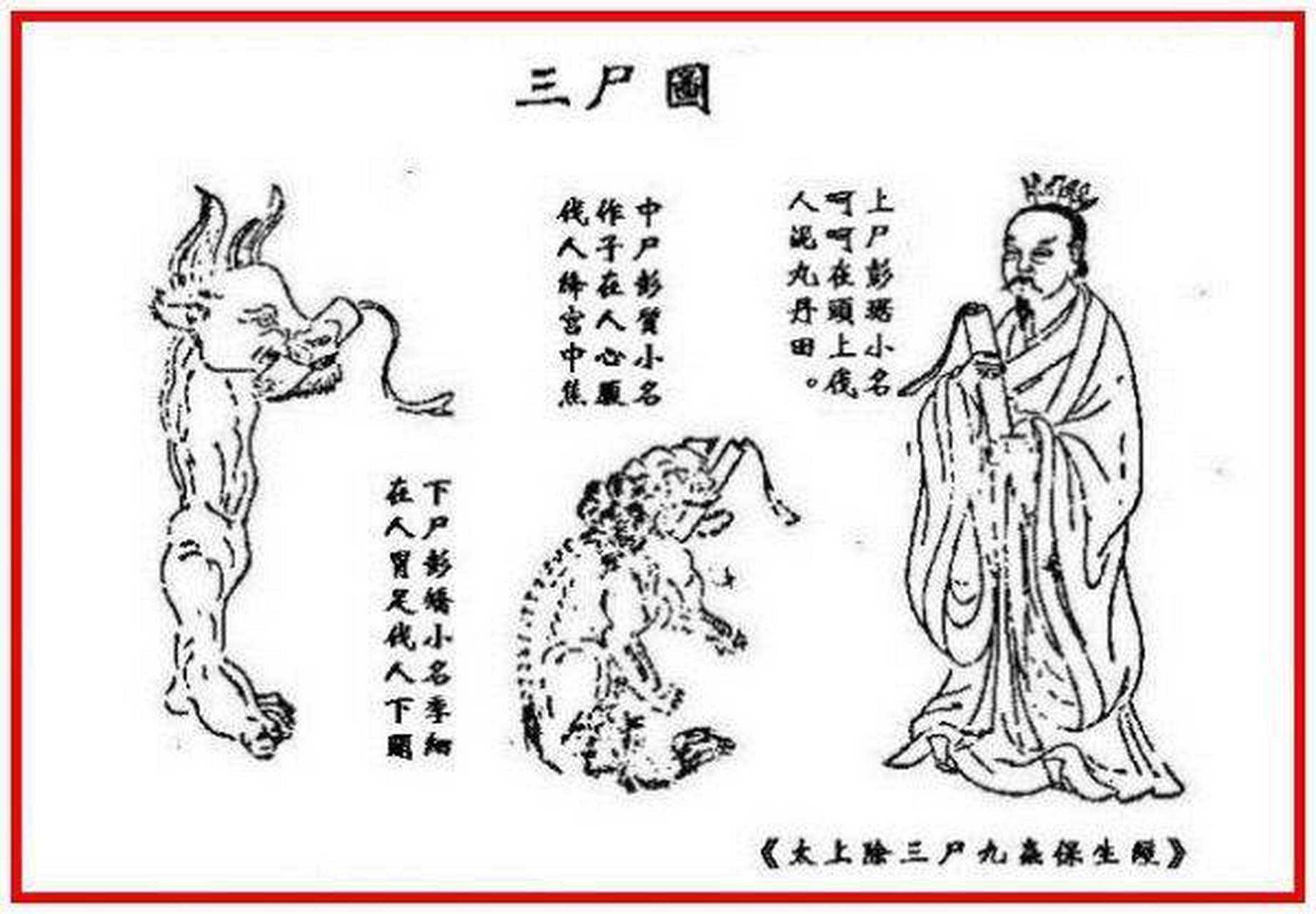 在道教信仰中,有所谓"三尸神,即上尸神青姑彭踞,中尸神白姑彭踬,下尸