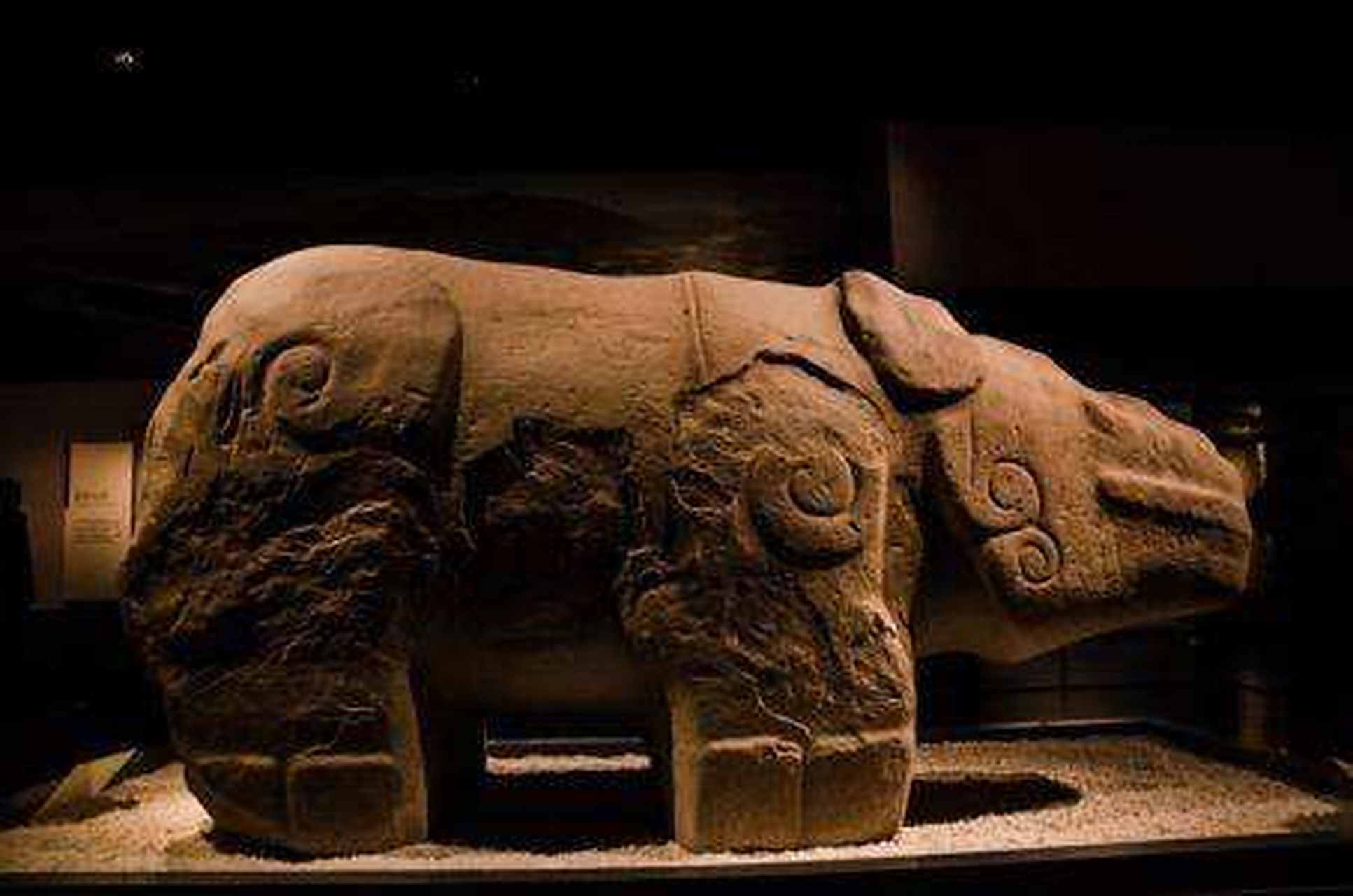 超级国宝之"镇水神兽"——石犀!  藏于成都博物馆.