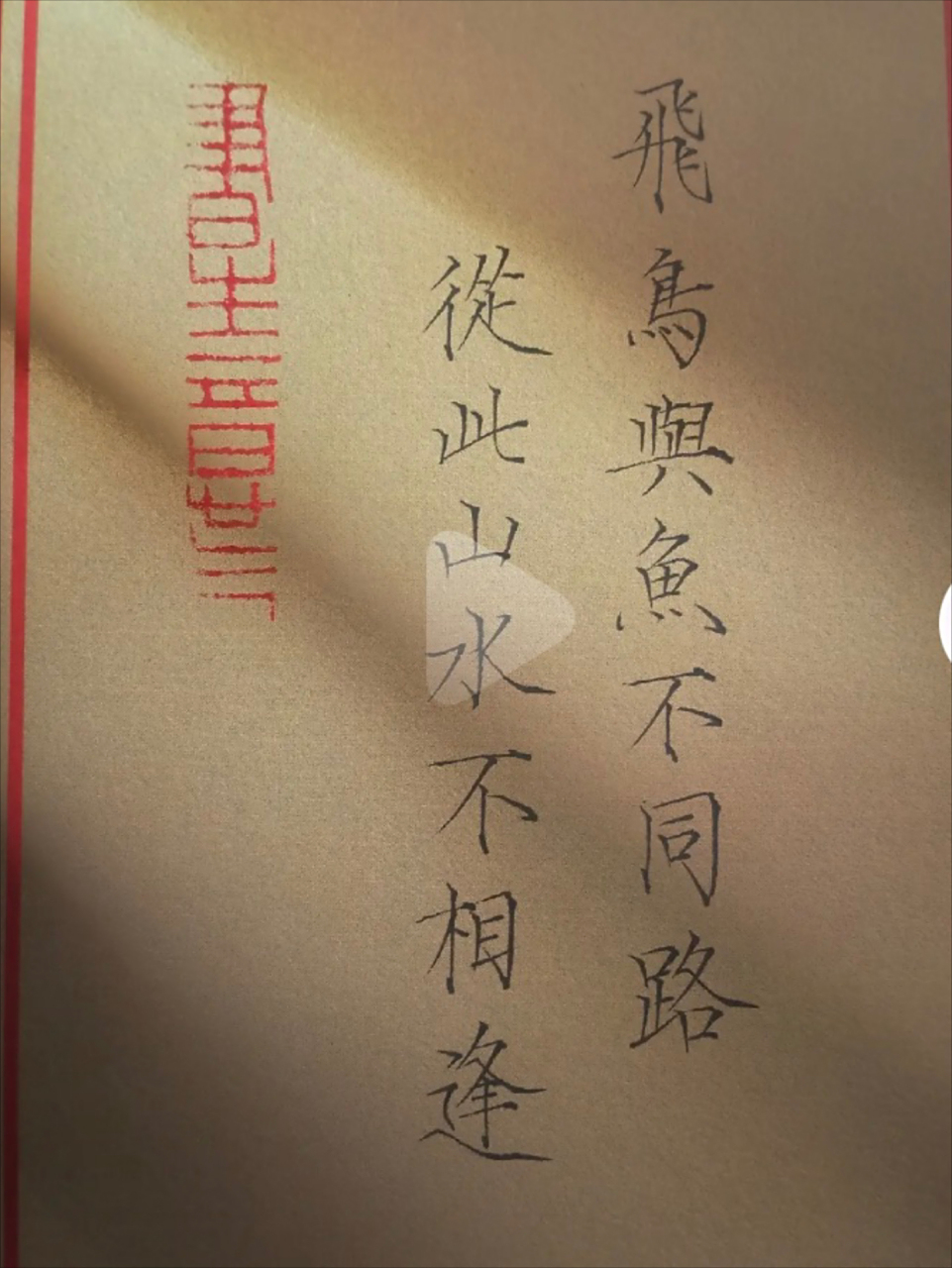 飞鸟与鱼不同路,从此山水不相逢