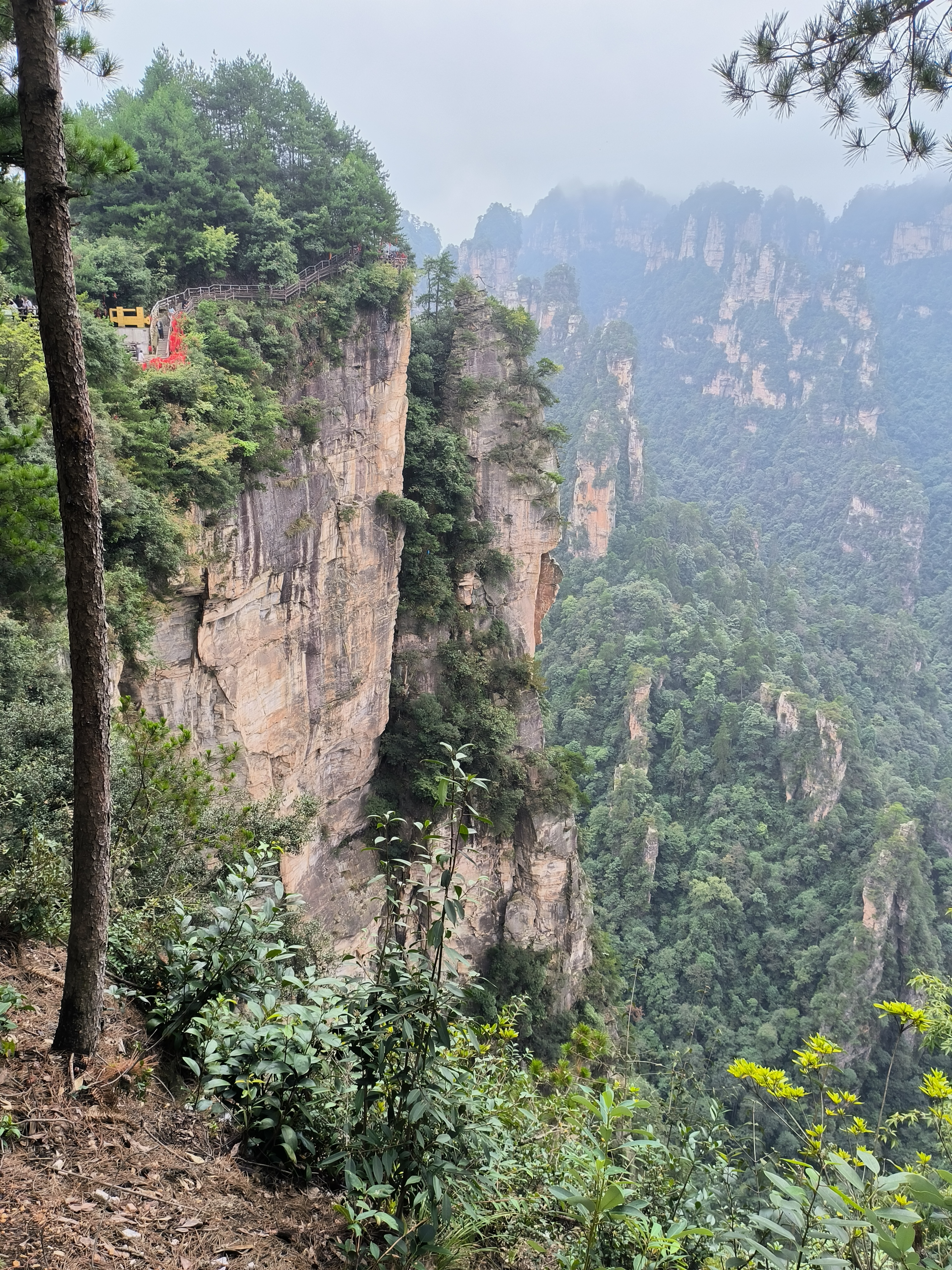 一切美景在险峰图片