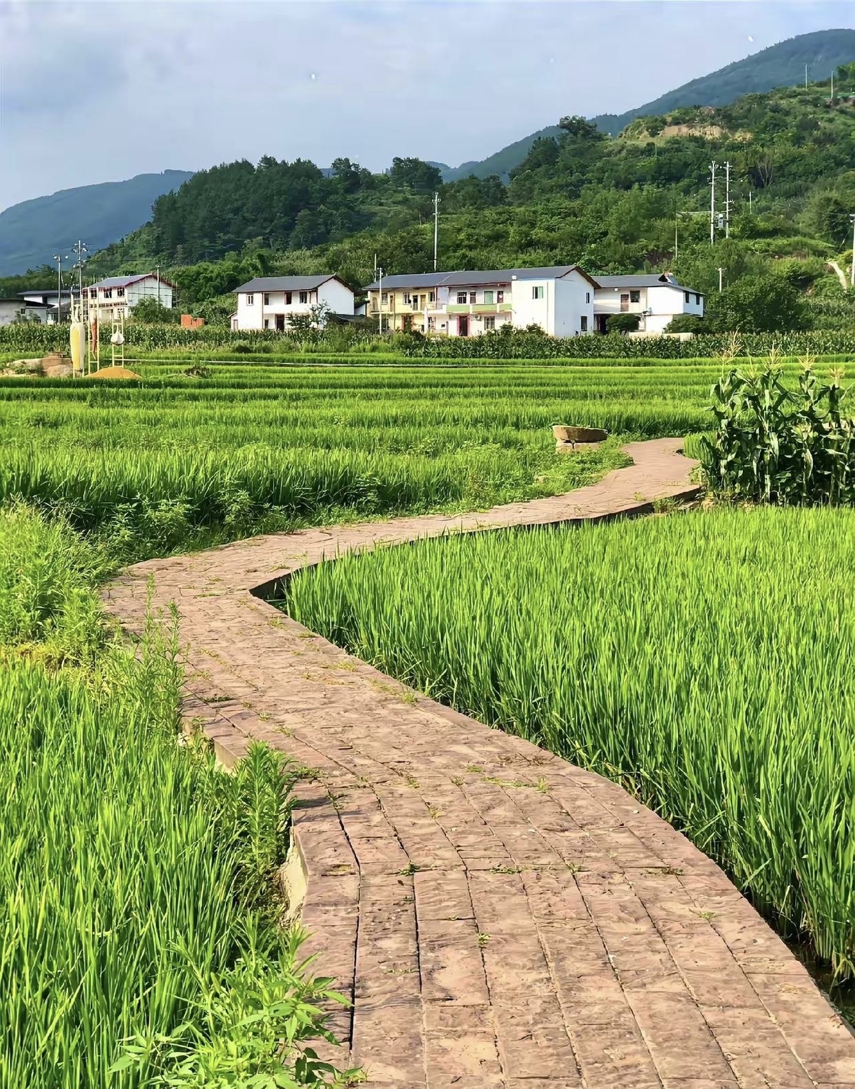 风景实拍 真实图片