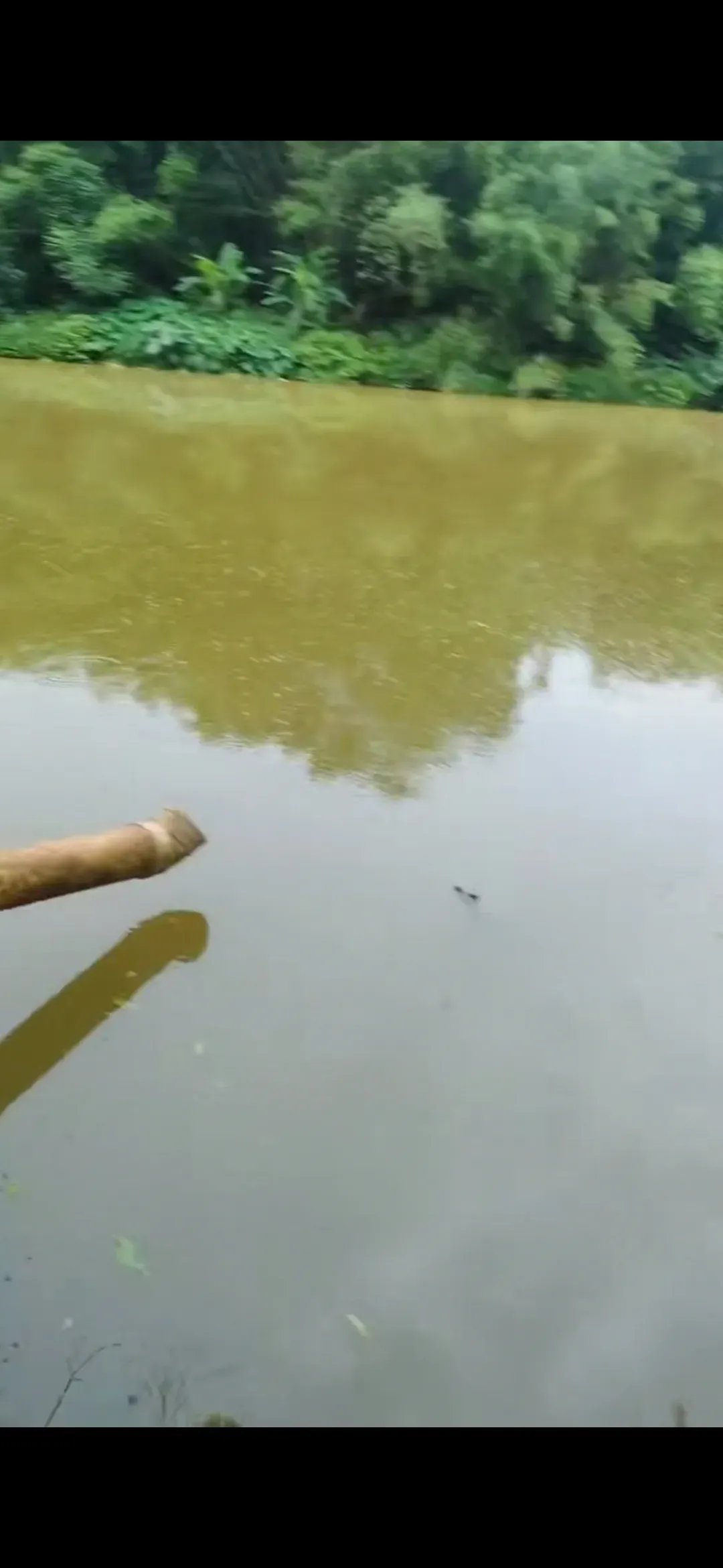 我一问才知道,两个人认认真真,耐心耐性的坐守了多半天,愣是一条小鱼