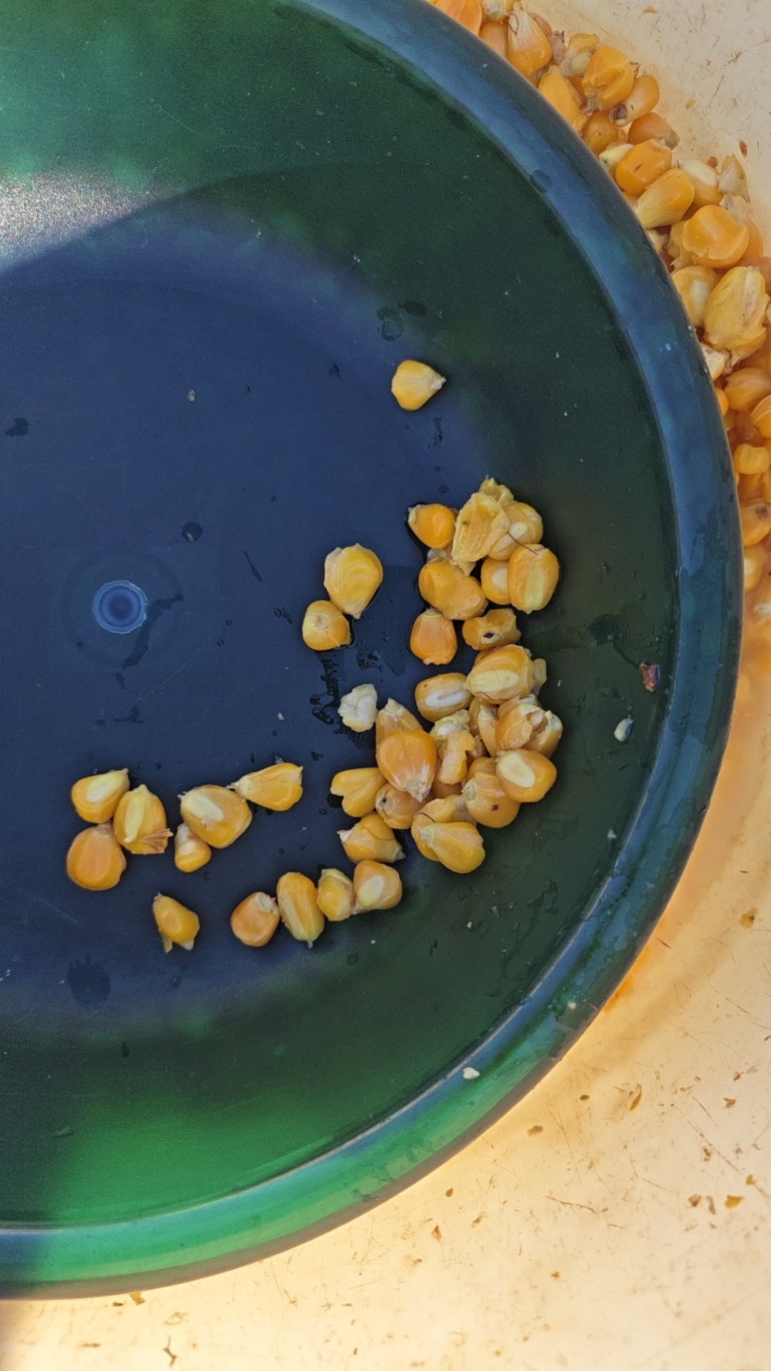 让我们吸取教训,向前看,不再让自