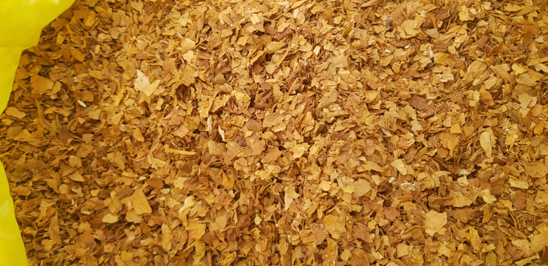 自然生香#夹皮沟黄烟# #手卷烟# #旱烟# #热点引擎计划