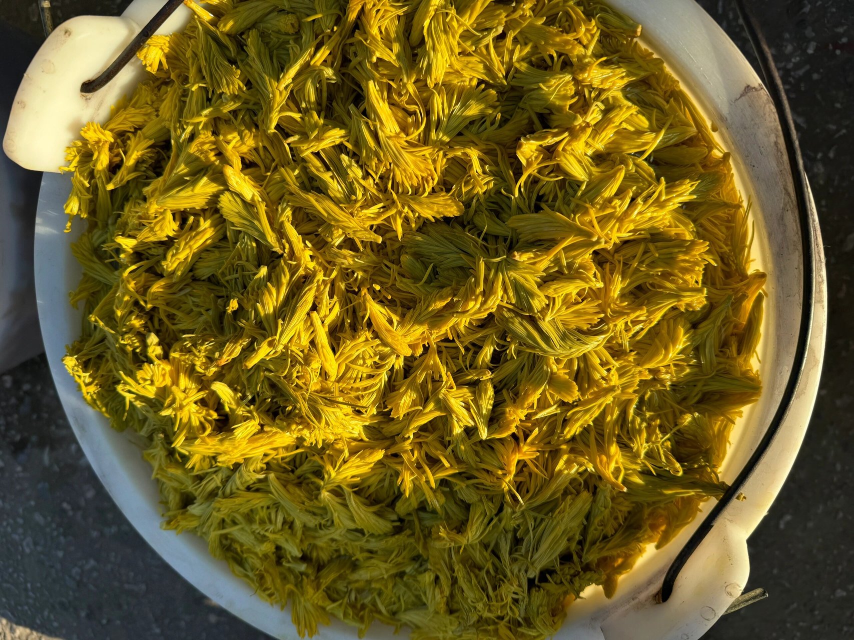 云南的春菜 看看你们认识多少呢