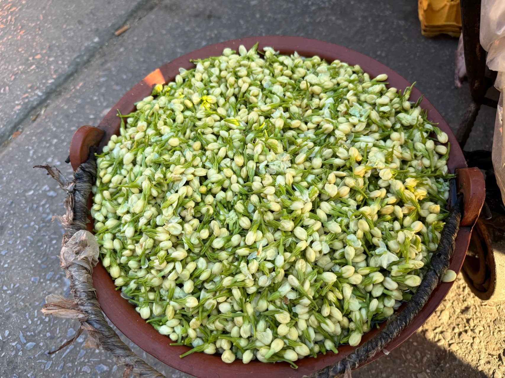 云南的春菜 看看你们认识多少呢