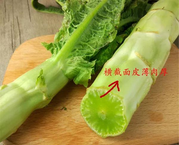 贡菜就是晒干的莴笋,贡菜和莴笋是不一样的!