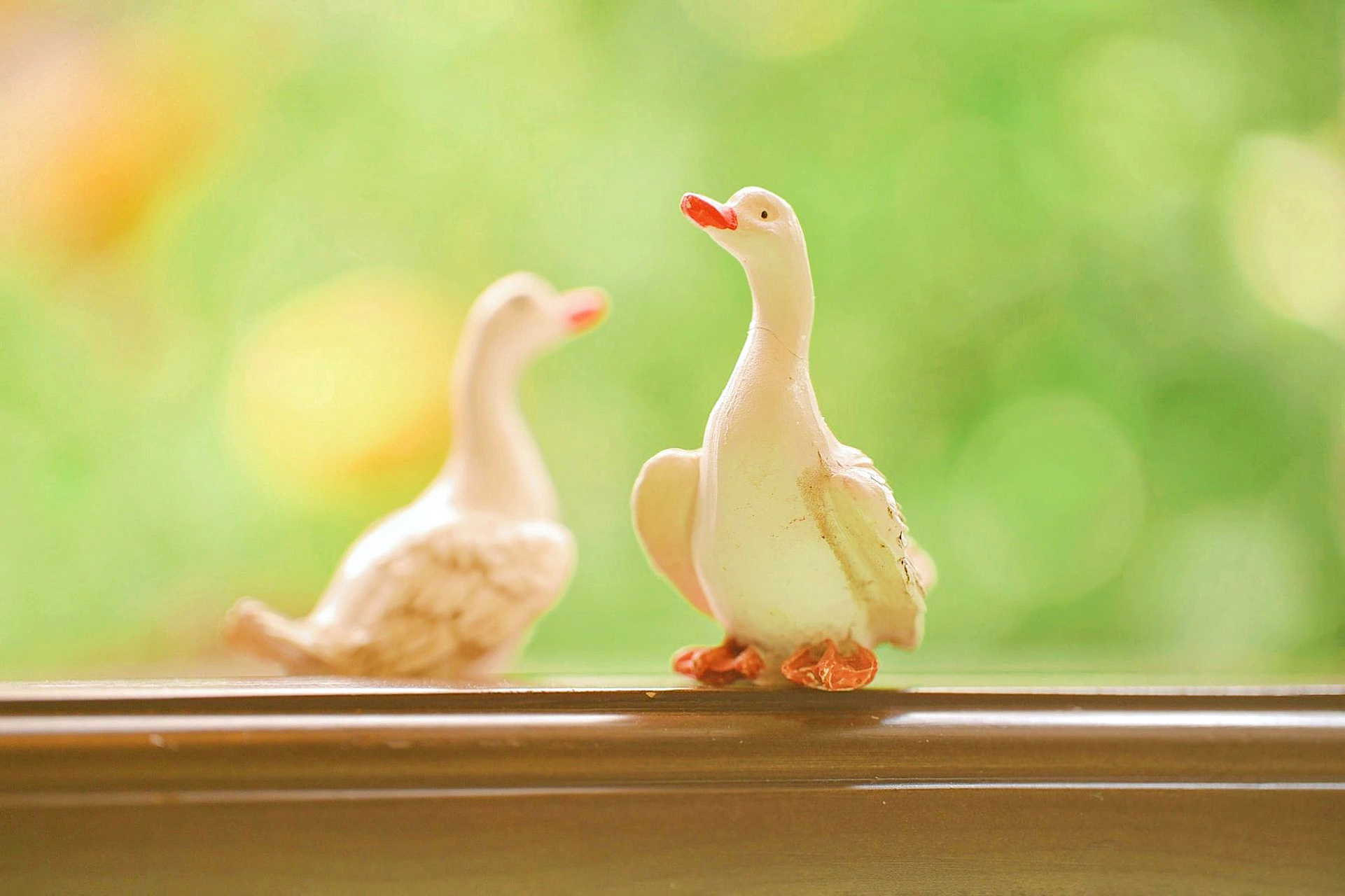 进步鸭,努力鸭,幸福鸭,每天都要开心鸭. 676767