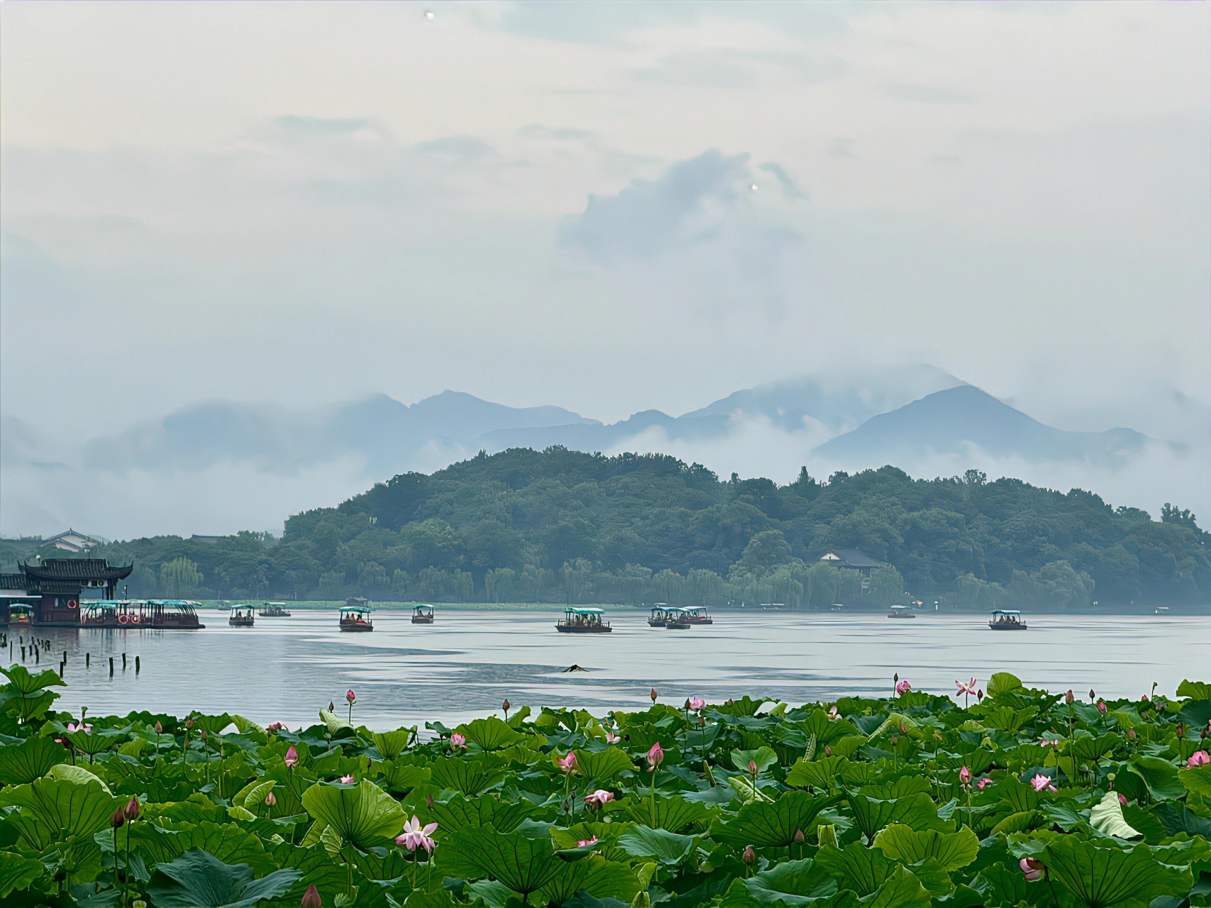 " 雨天的西湖宛如一幅水墨画 " 676767