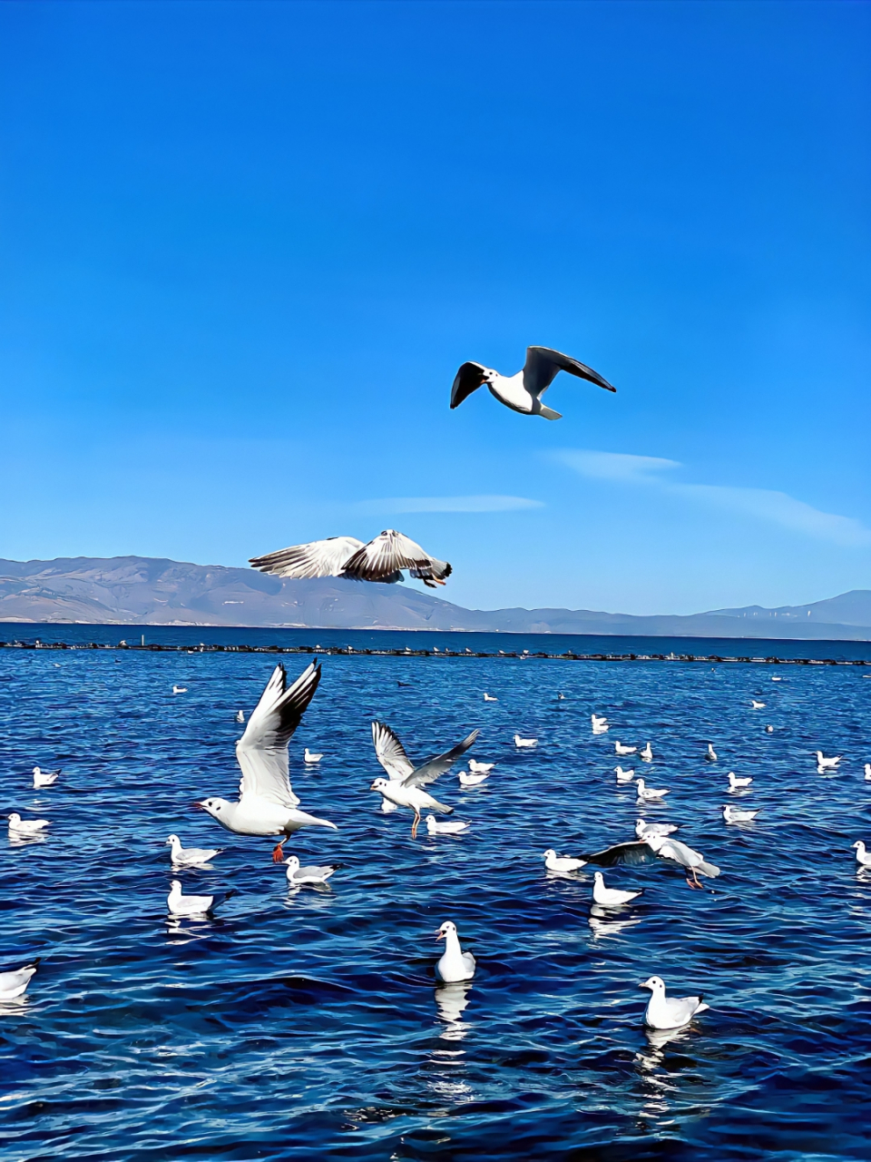 如果治愈有颜色,那一定是绿色和蓝色! 676767