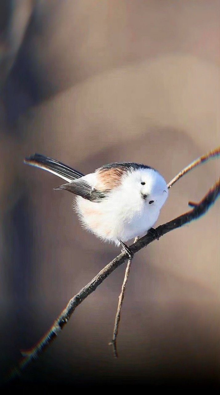 啾啥呢,好运到你家了 676767