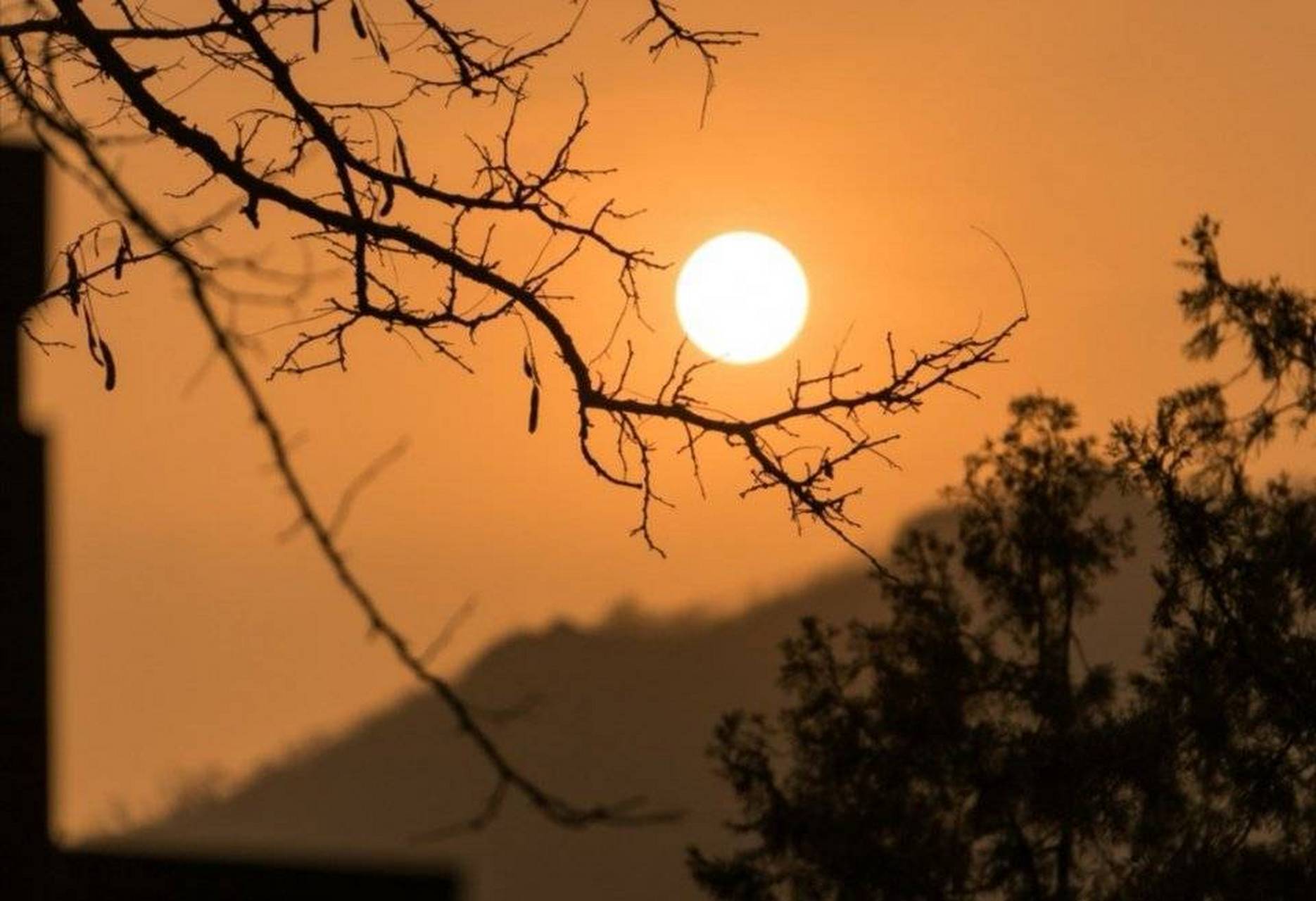 人言落日是天涯,望极天涯不见家 … 02 676767