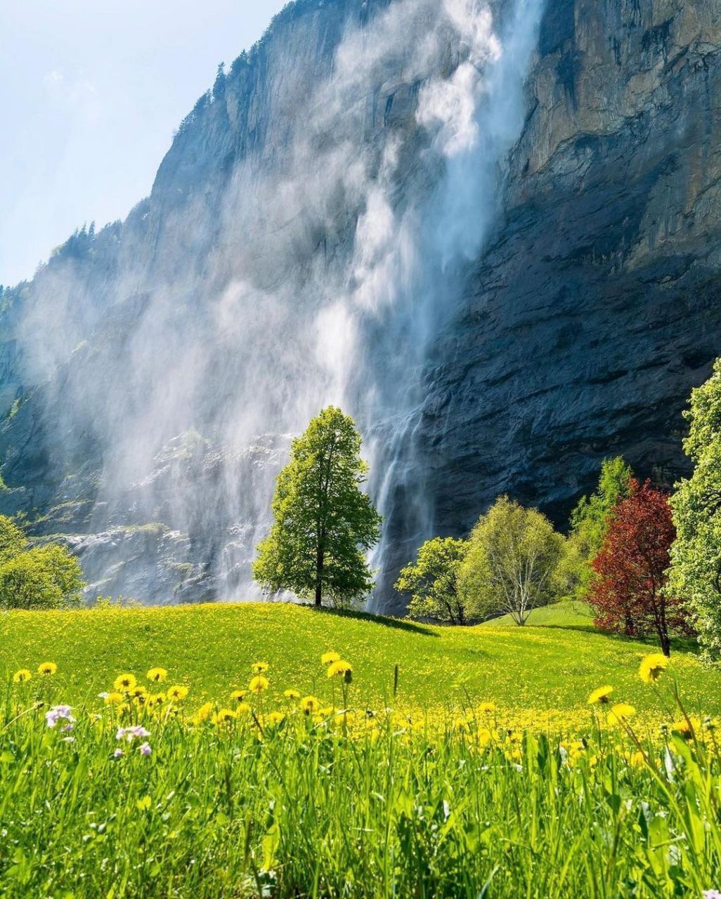 瑞士的春天 阳光明媚 风景如画🍃 . ​​​