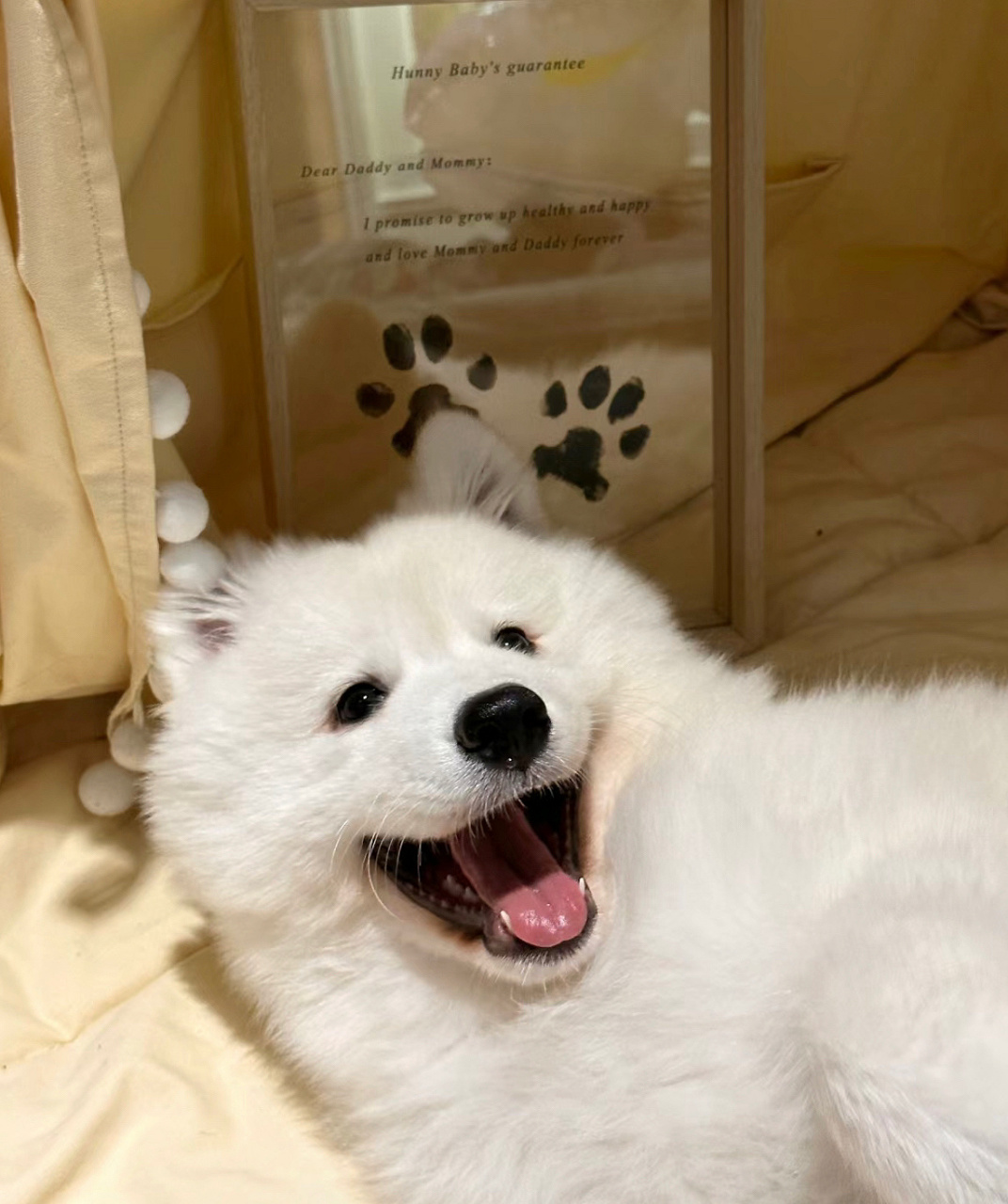 关关难过关关过 夜夜难熬夜夜熬 676767