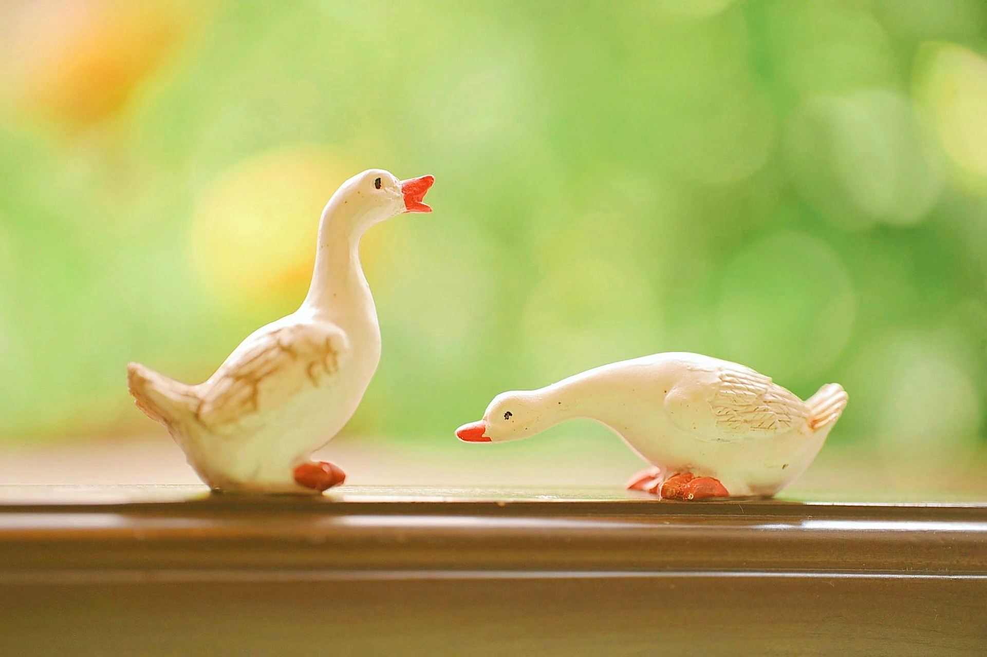 进步鸭,努力鸭,幸福鸭,每天都要开心鸭. 676767