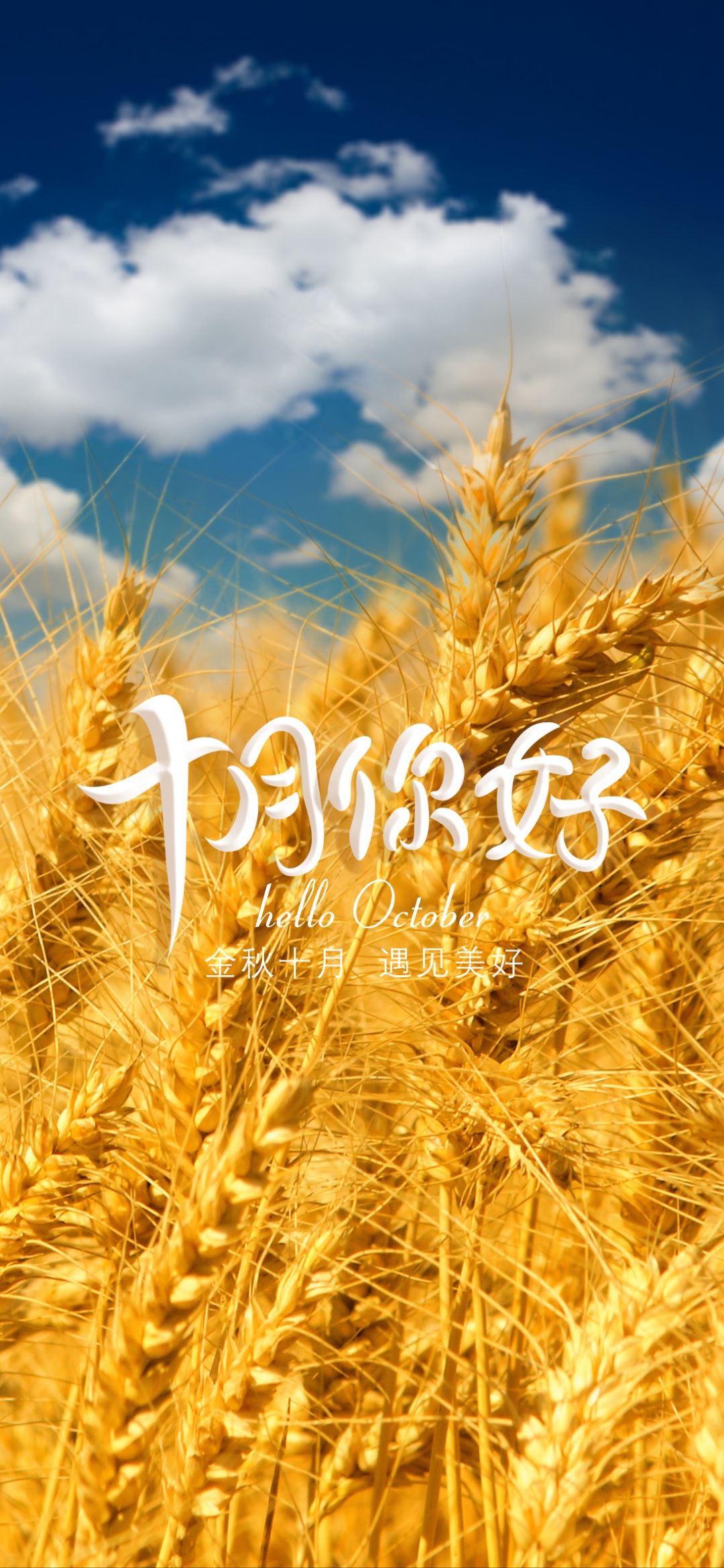 金秋十月 遇见美好