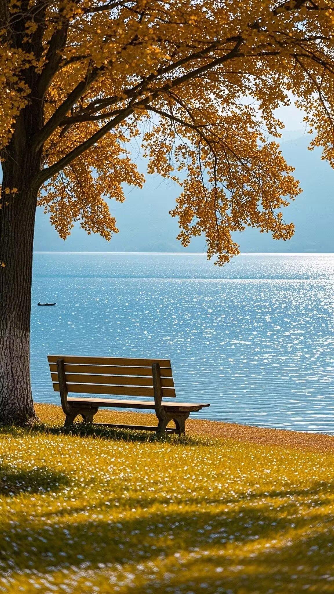 才是生活的真谛,山川湖海的壮丽,花前月下的浪漫,才是值得追寻的美好