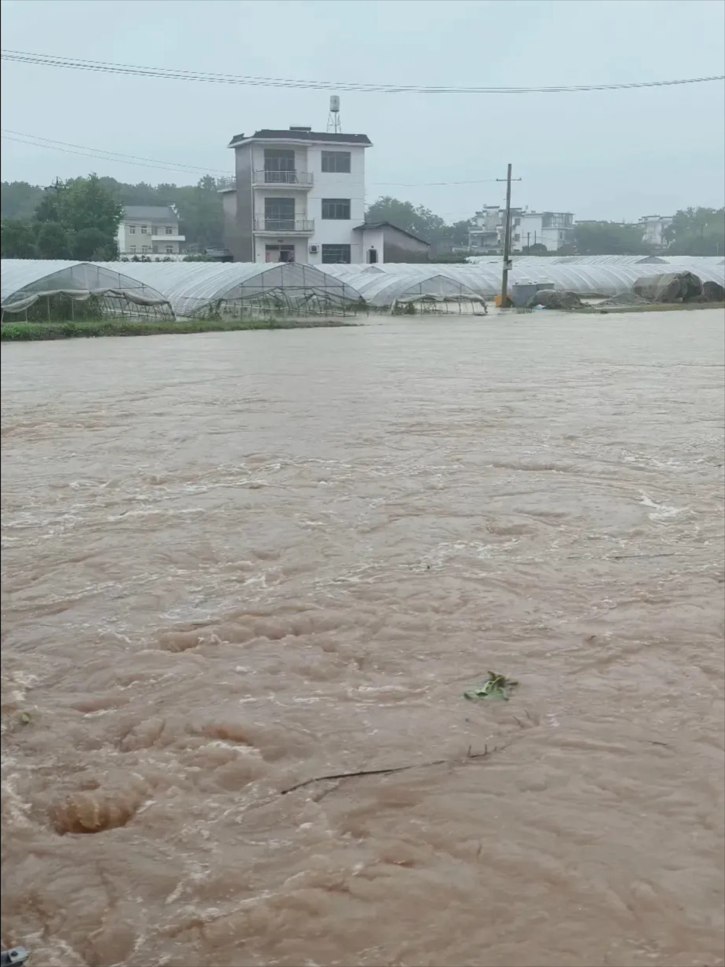 毕节暴雨洪灾图片