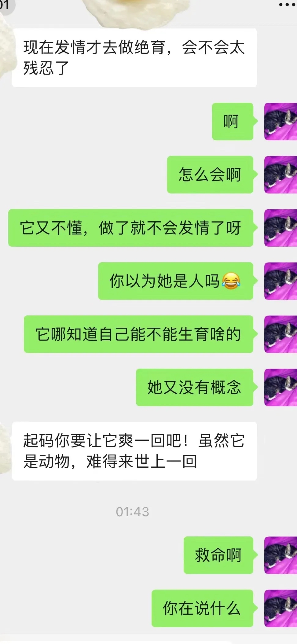 相亲微信聊天记录大全图片