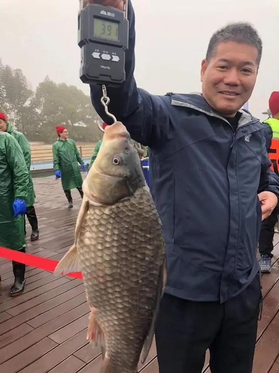 正巧有个电子秤,看看鲫鱼多重成了f"王"?