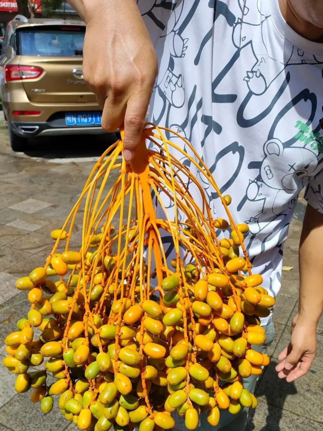 这个是啥果子,是能吃的吗?看起有点像槟榔,图二是槟榔树吗?