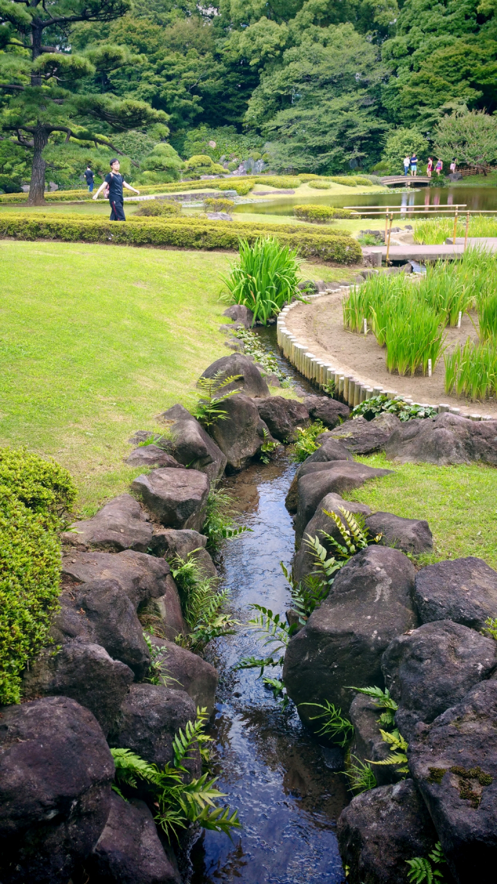 【夏日东京绿】皇居东御苑:森绿草青水清浅,天光云影共徘徊～  从大手
