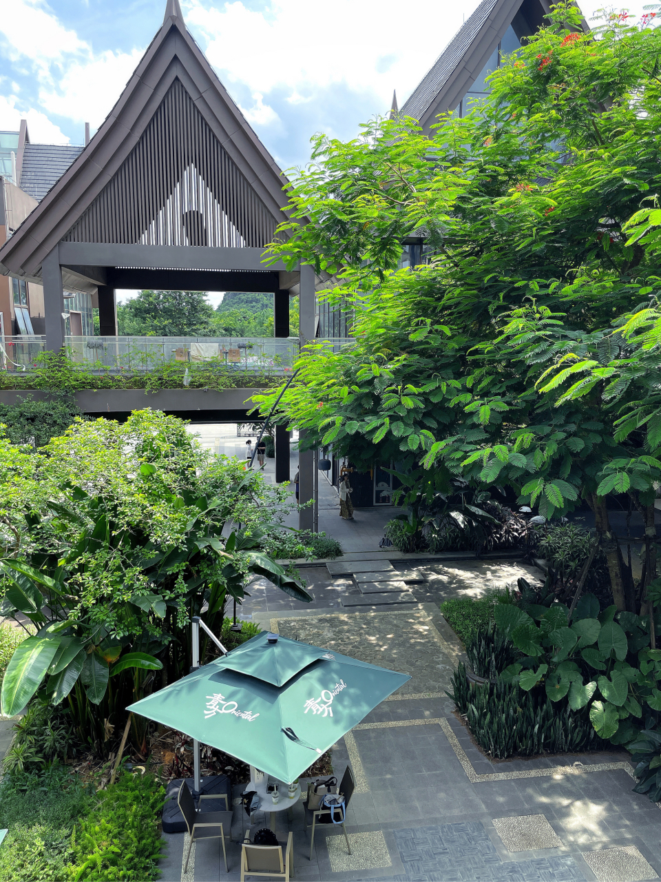 93武鸣里建居然藏着独栋森林秘境!