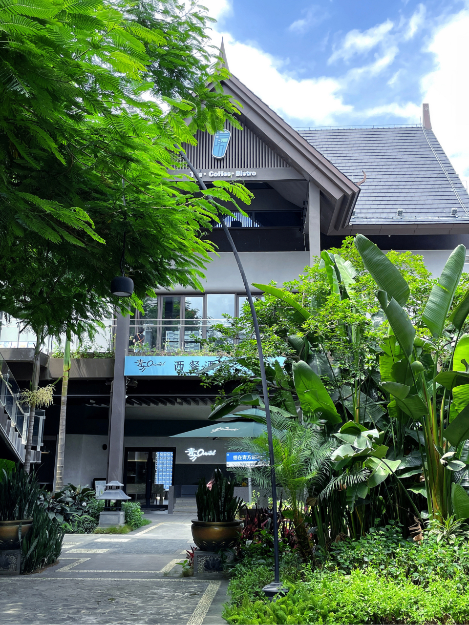 93武鸣里建居然藏着独栋森林秘境!