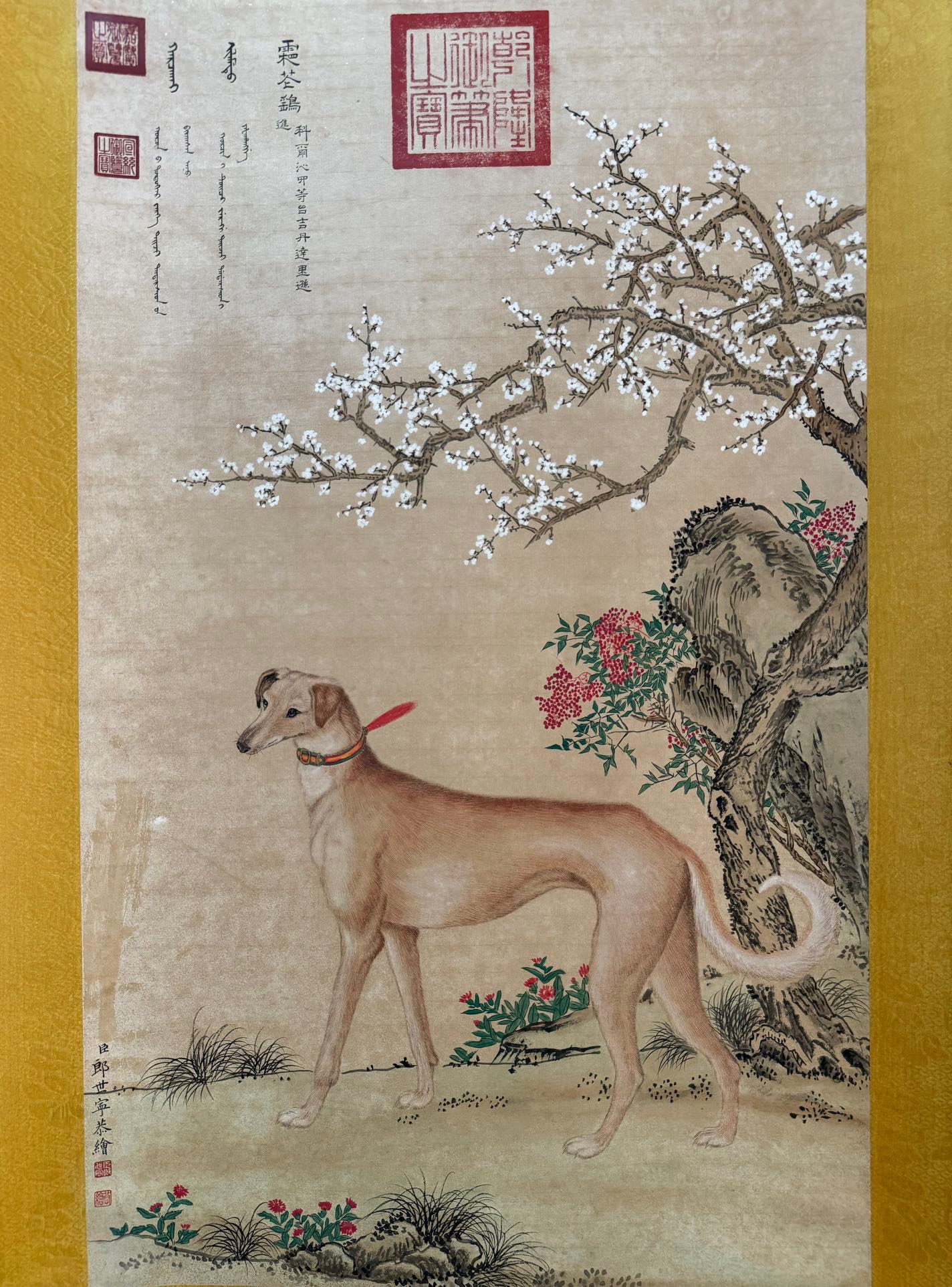 郎世宁的十犬图有几幅图片