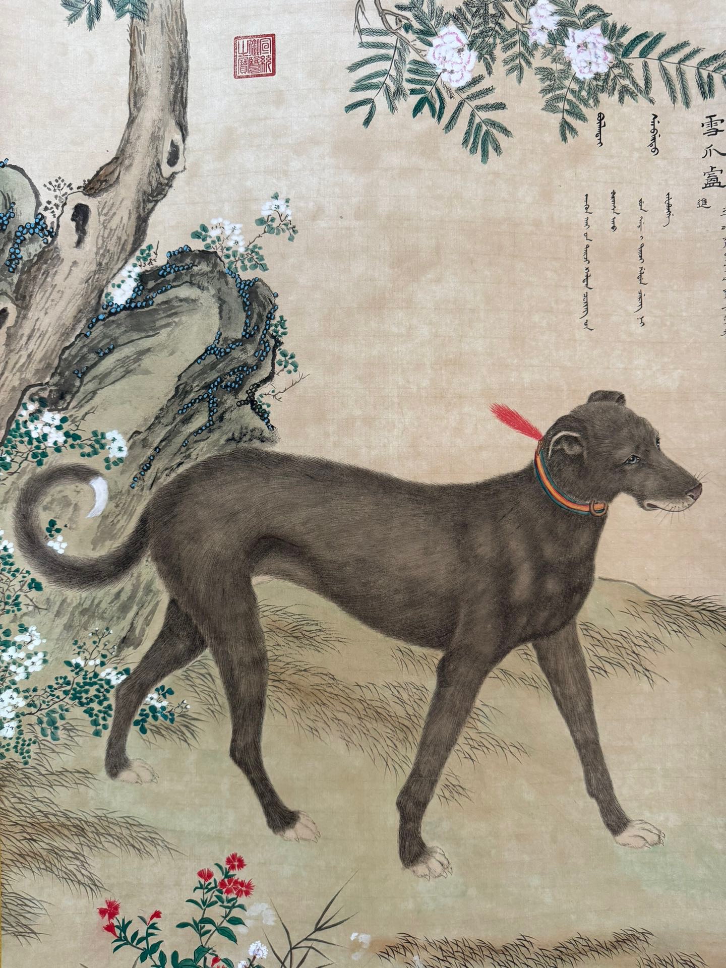 郎世宁的十犬图有几幅图片