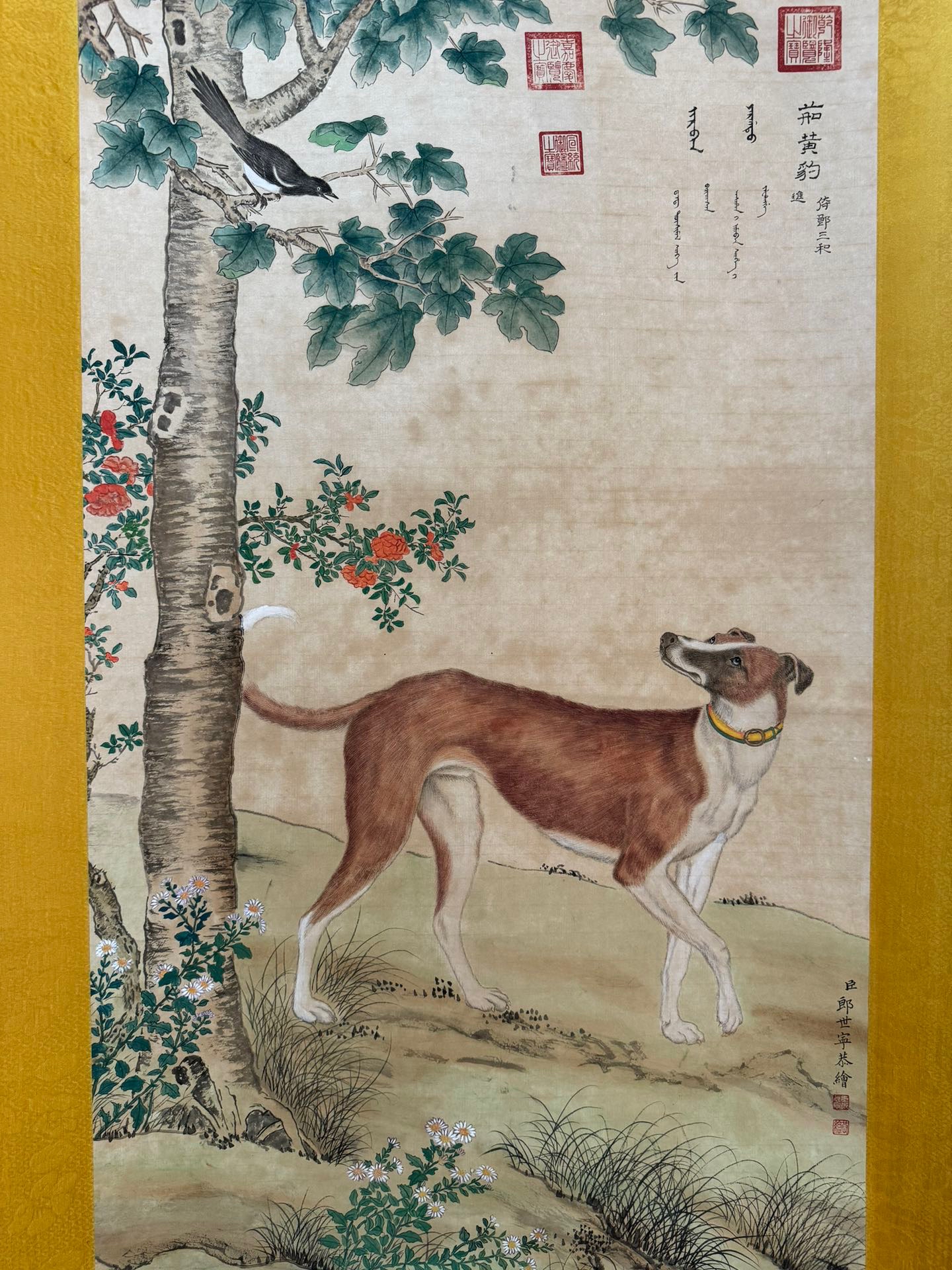 郎世宁的十犬图有几幅图片