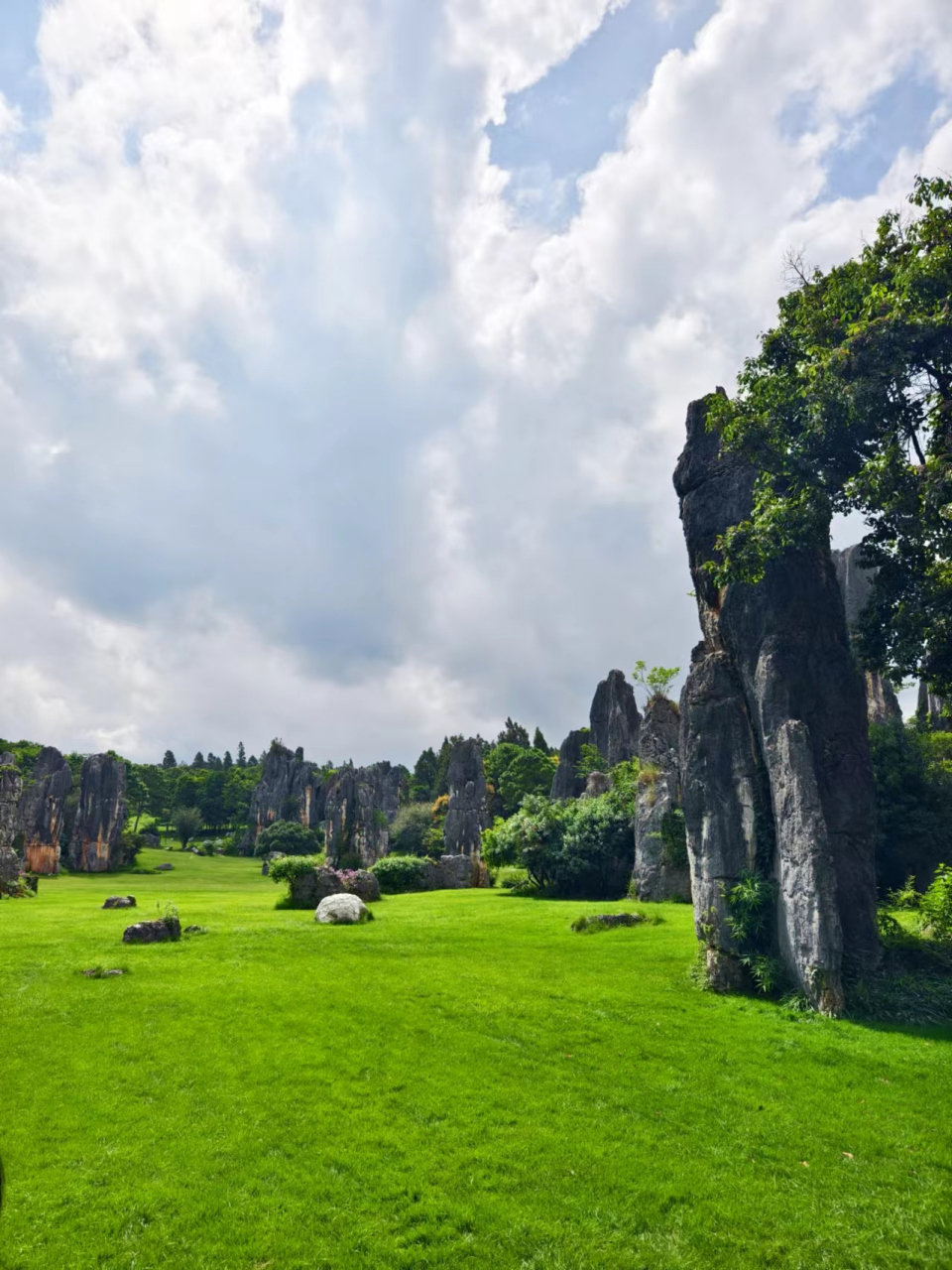 出门过个夏天# 云南昆明石林风景区景点推荐  92石林风景名胜区
