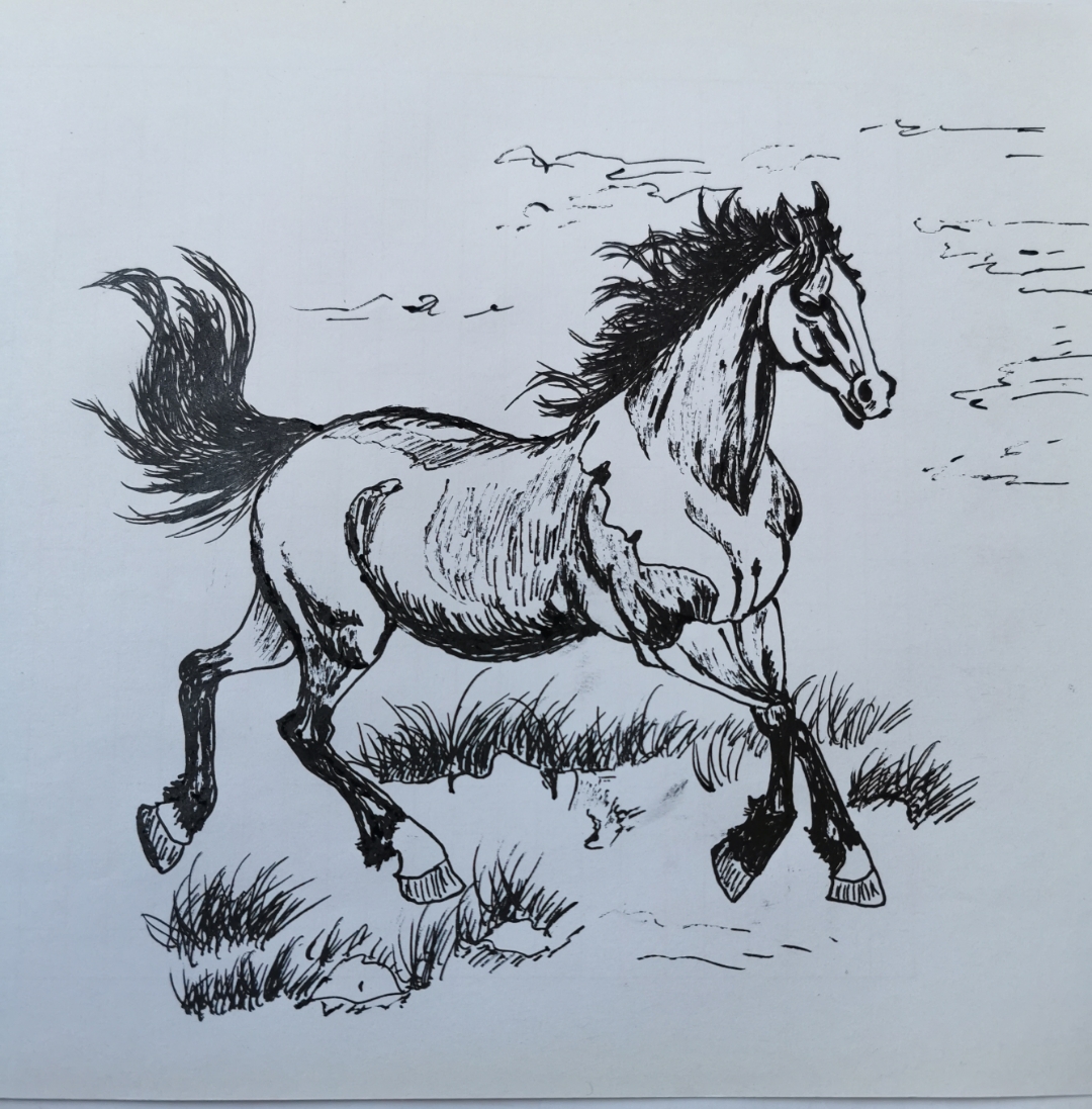 只找到了两张人脸,就按照这两