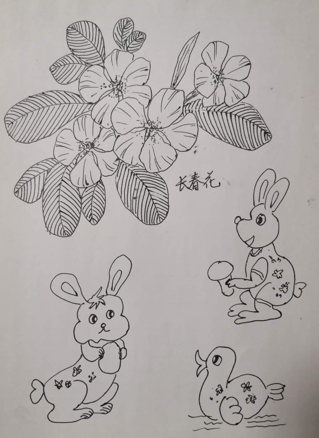 今天画的长春花,两只兔子,一只小鸭子