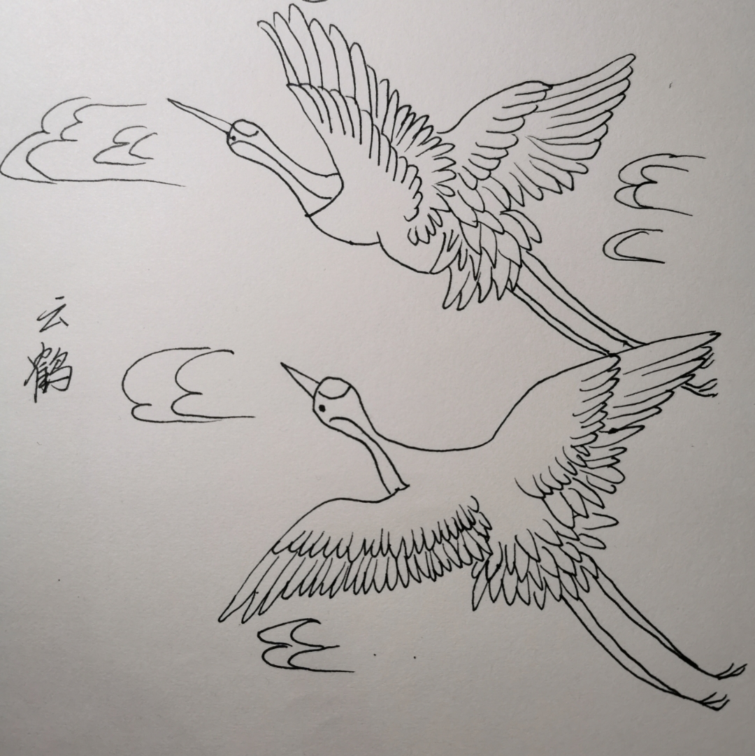 今天试着画两只飞翔的仙鹤. 希望他们真的一飞冲天