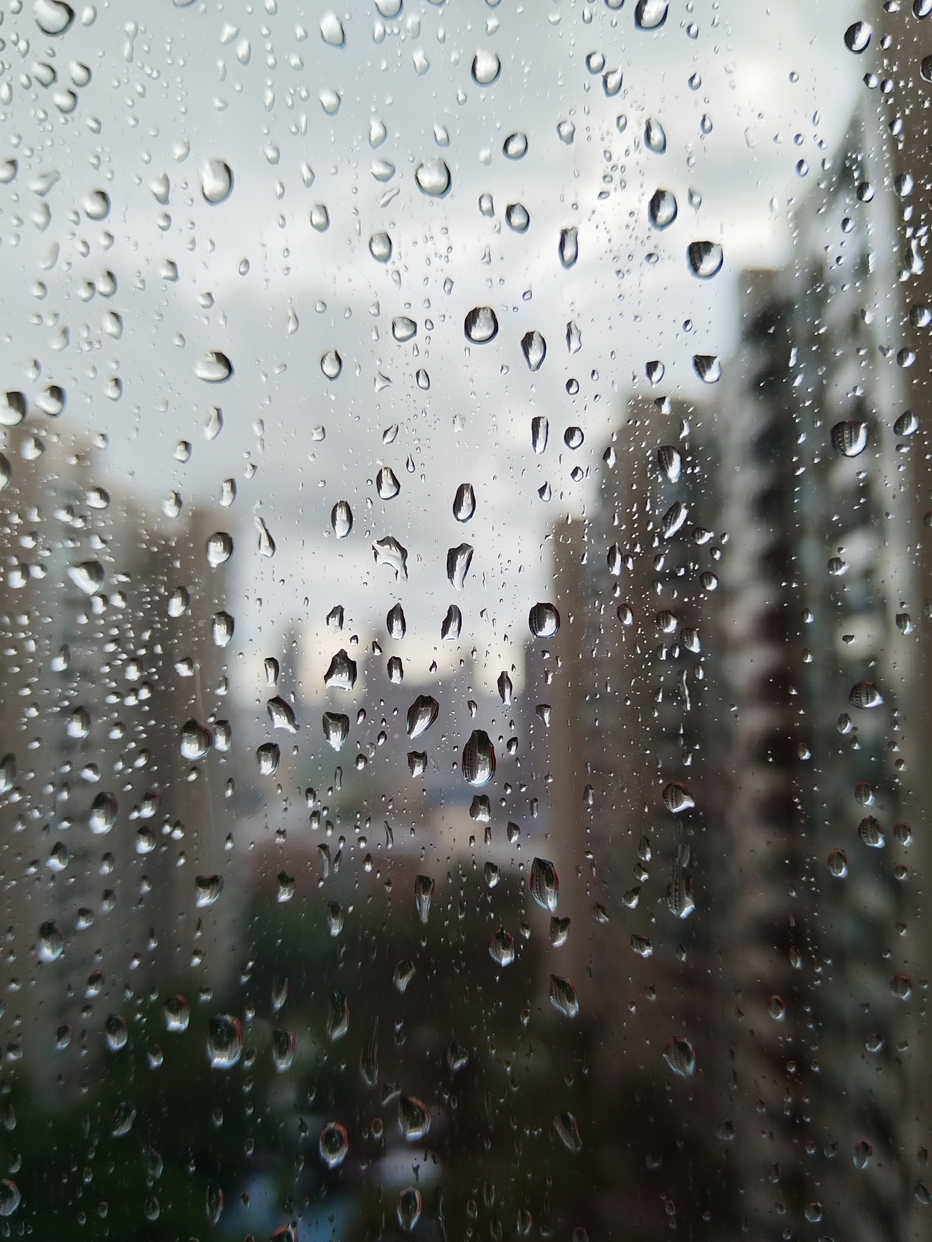 雨夜听雨图片 窗外图片