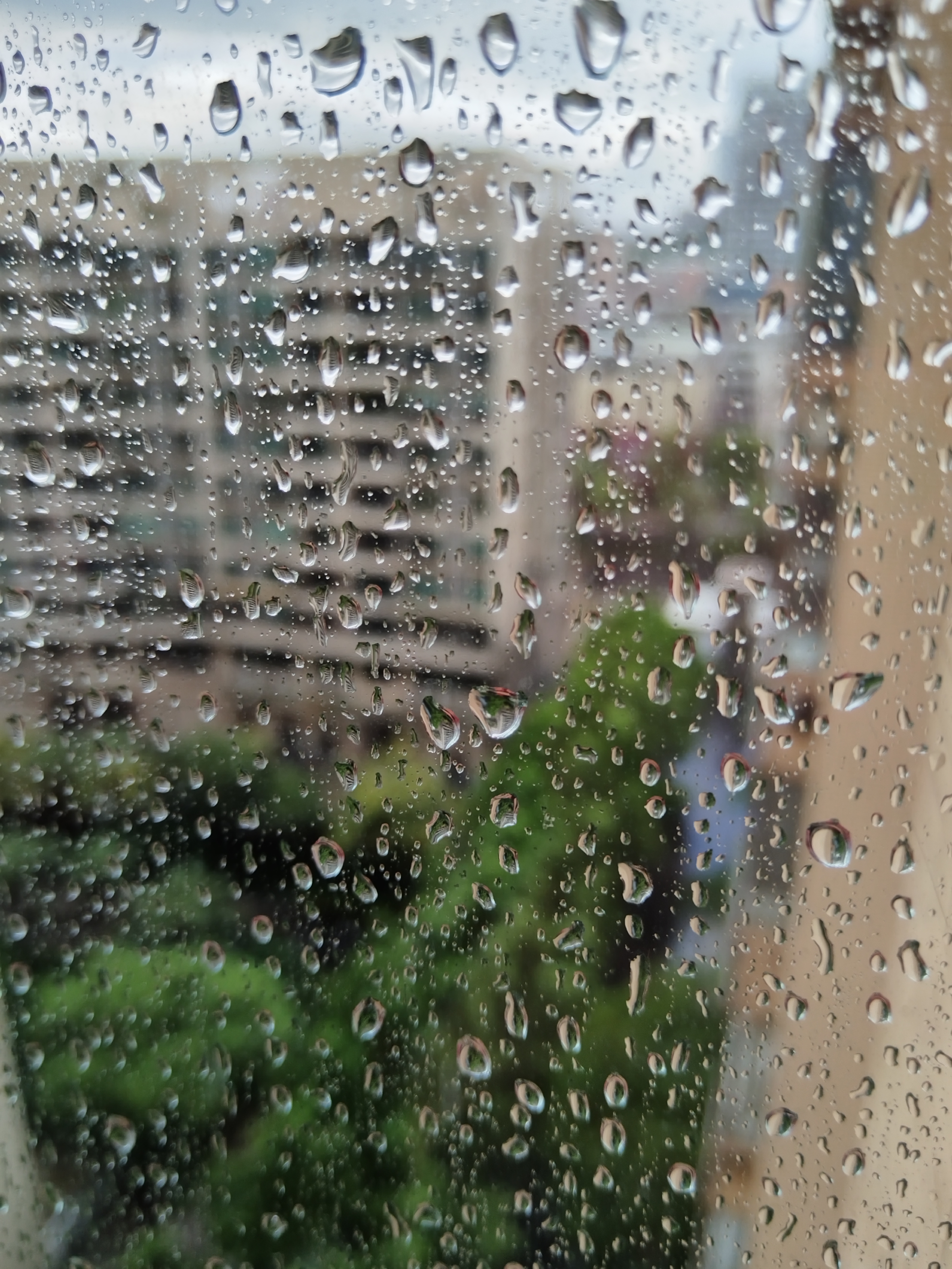 隔窗看雨图片真实图片