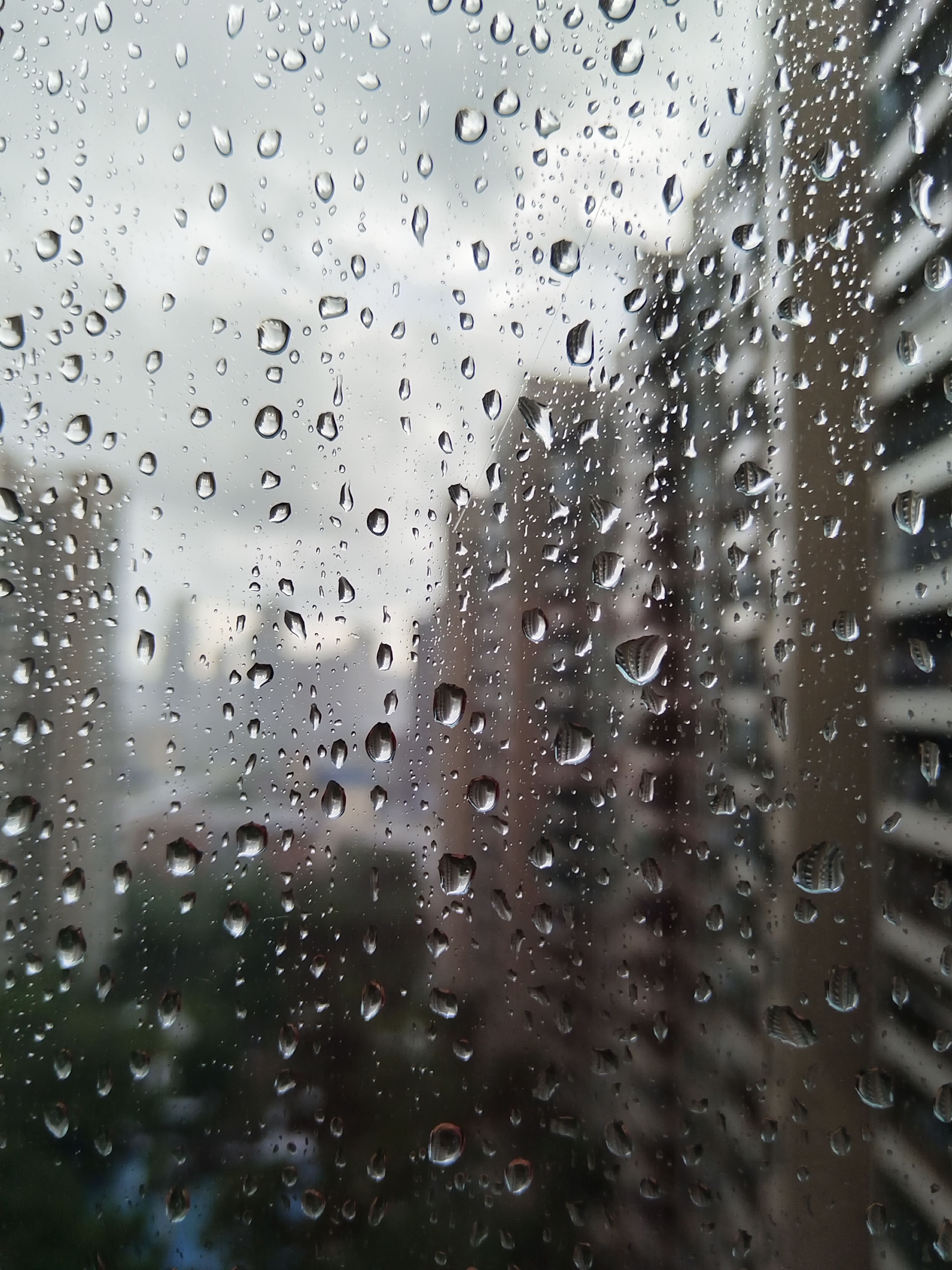 雨夜听雨图片 窗外图片