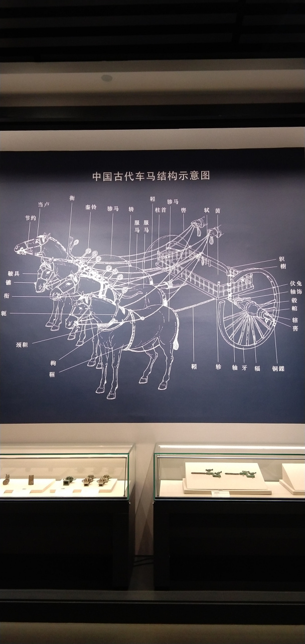 古代的车和马
