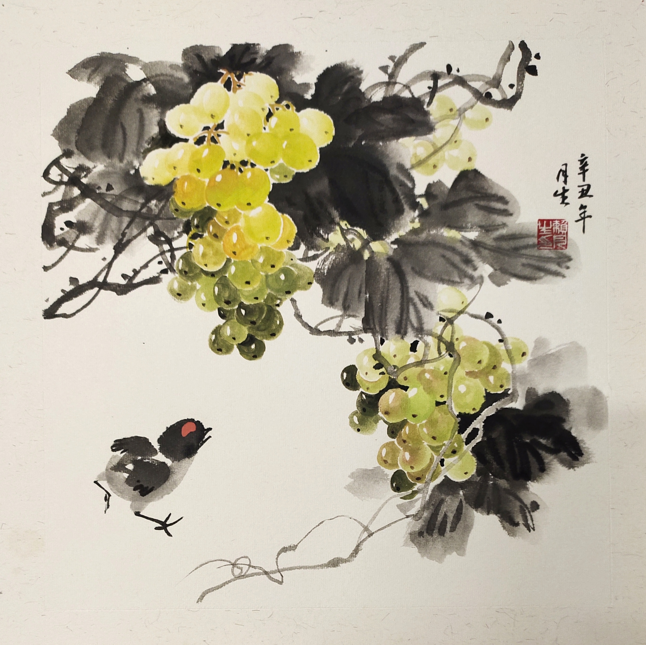 【墨迹】  写意葡萄小品画         葡萄历来被视为一种吉祥果,累累的