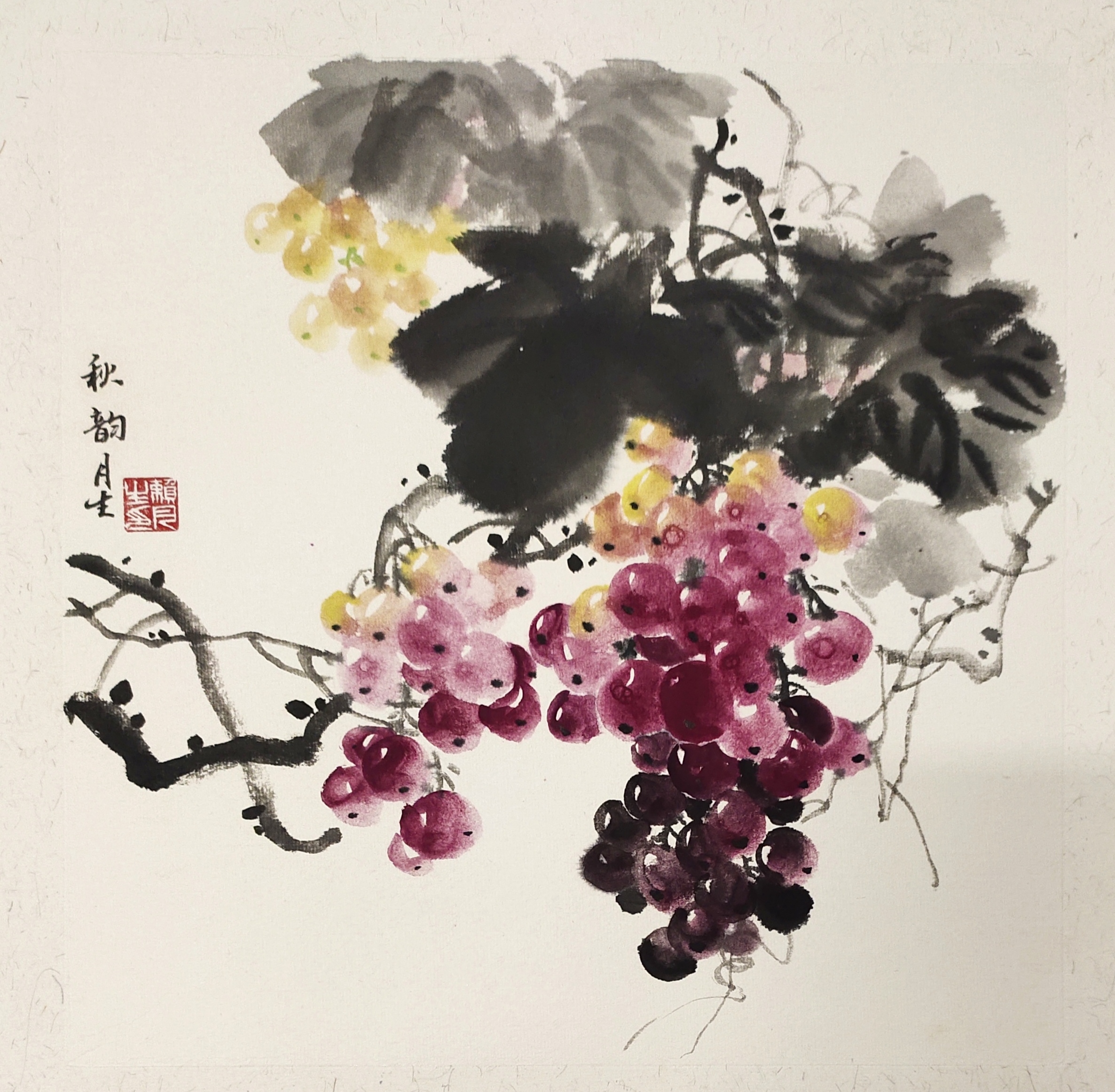 【墨迹】  写意葡萄小品画         葡萄历来被视为一种吉祥果,累累的