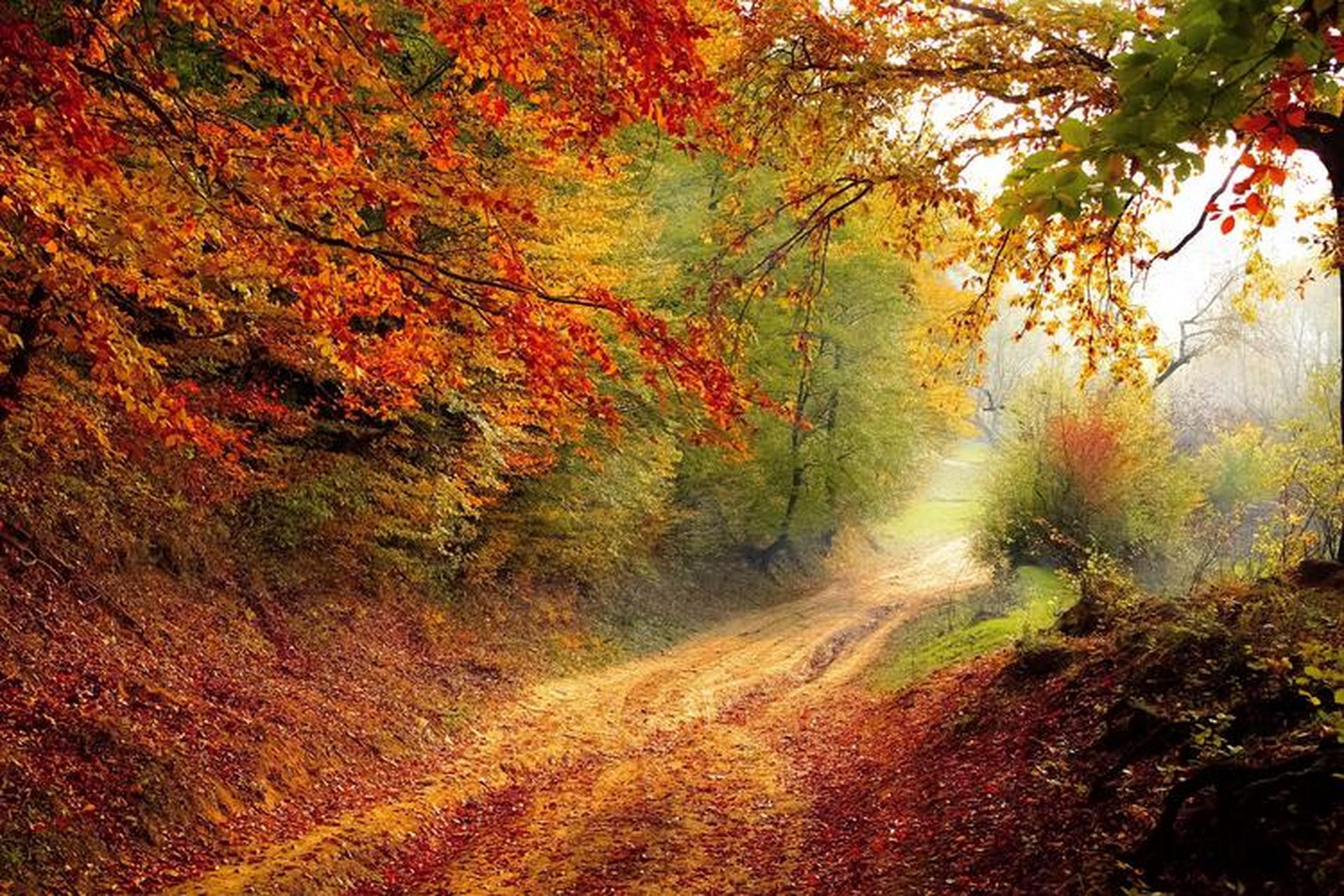 人生就像一场修旅行,沿途中我们会遇到形形色色的风景,有些风景虽只看